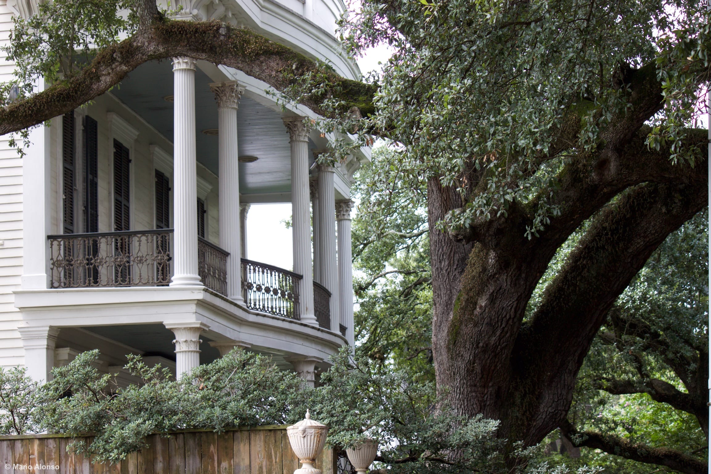 The lovely combination of