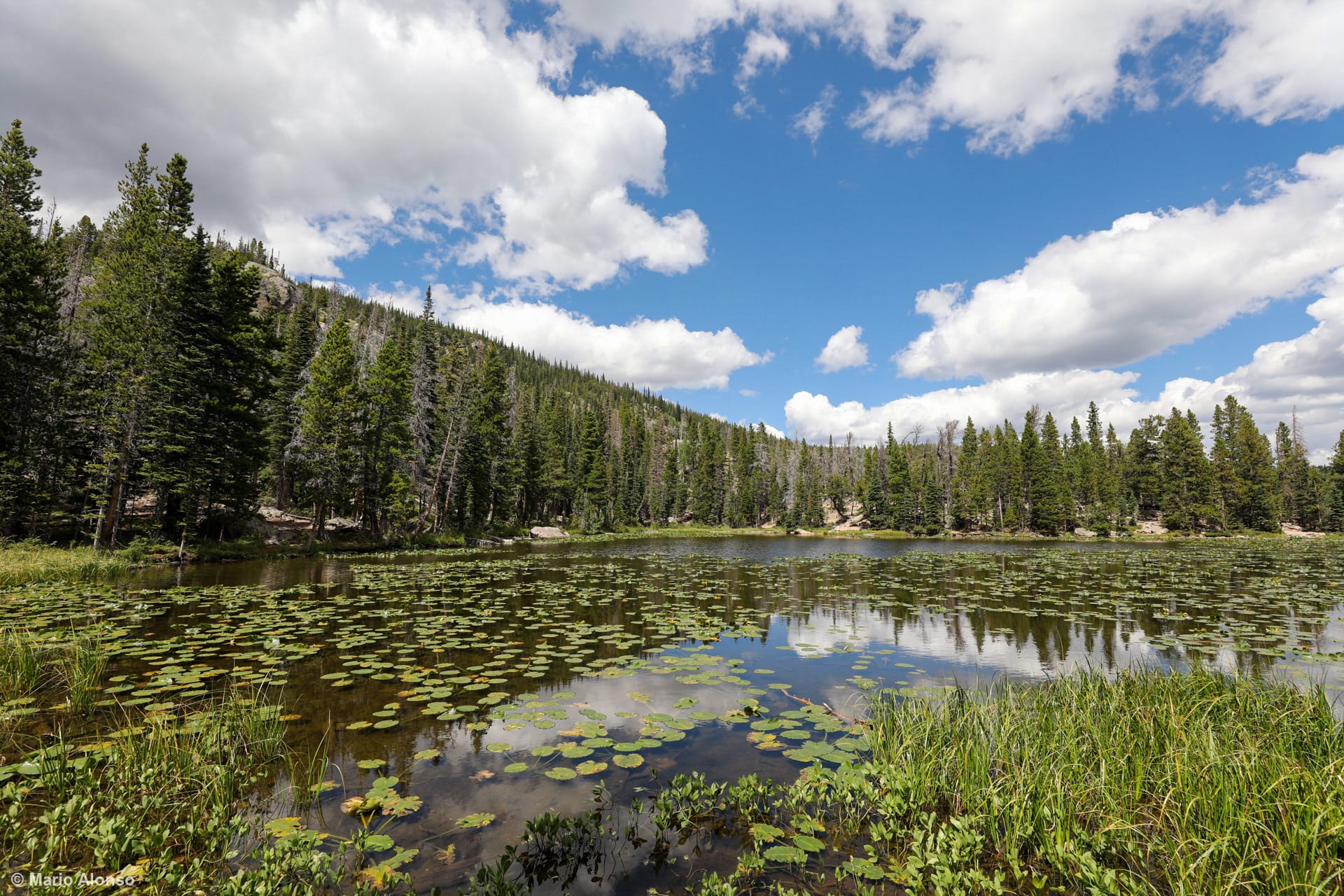 Dream Lake Summer Serenity