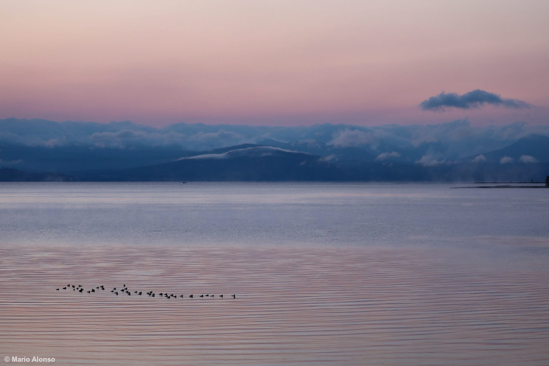 Yellowstone Lake at Dawn