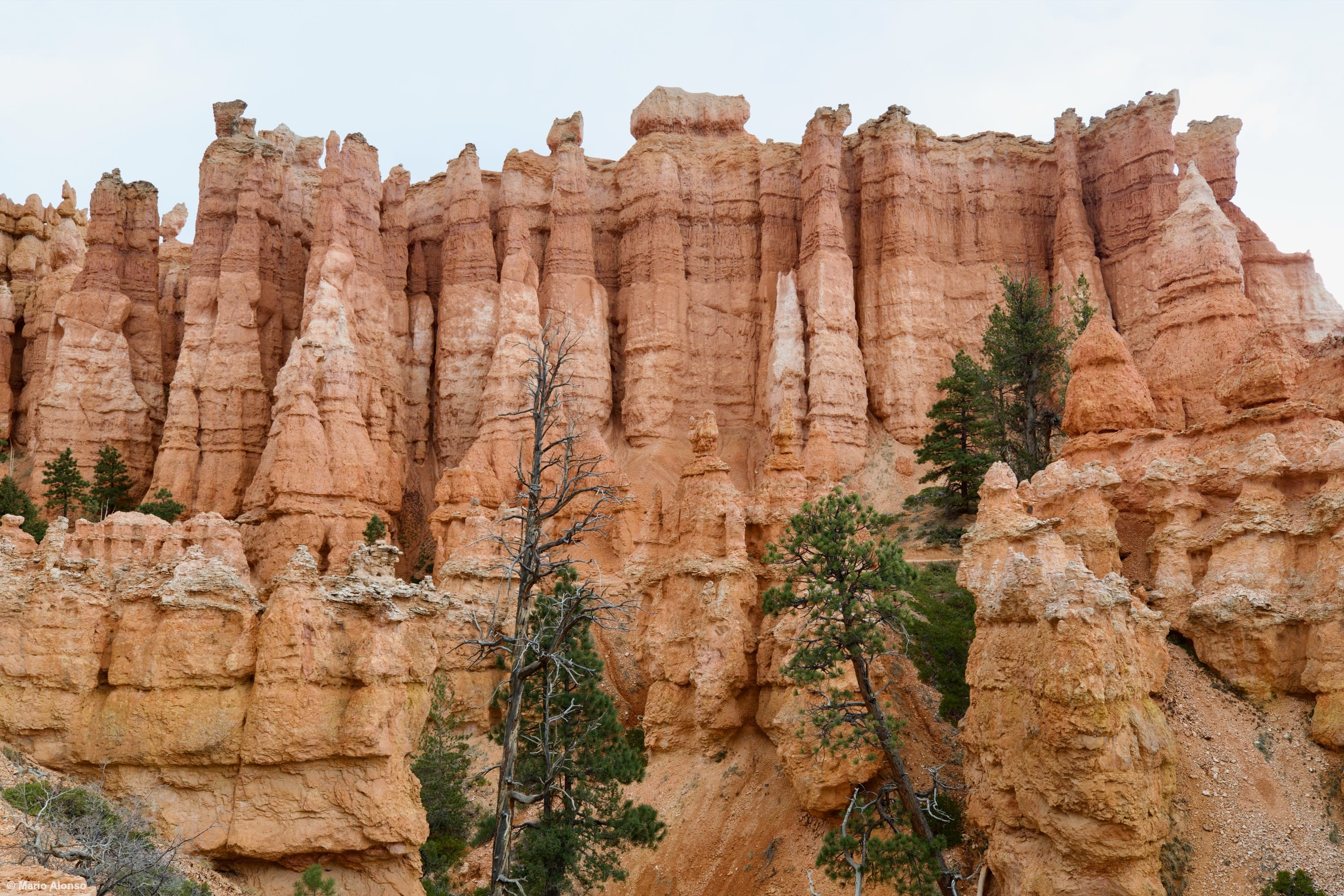 Bryce Cathedral Formations