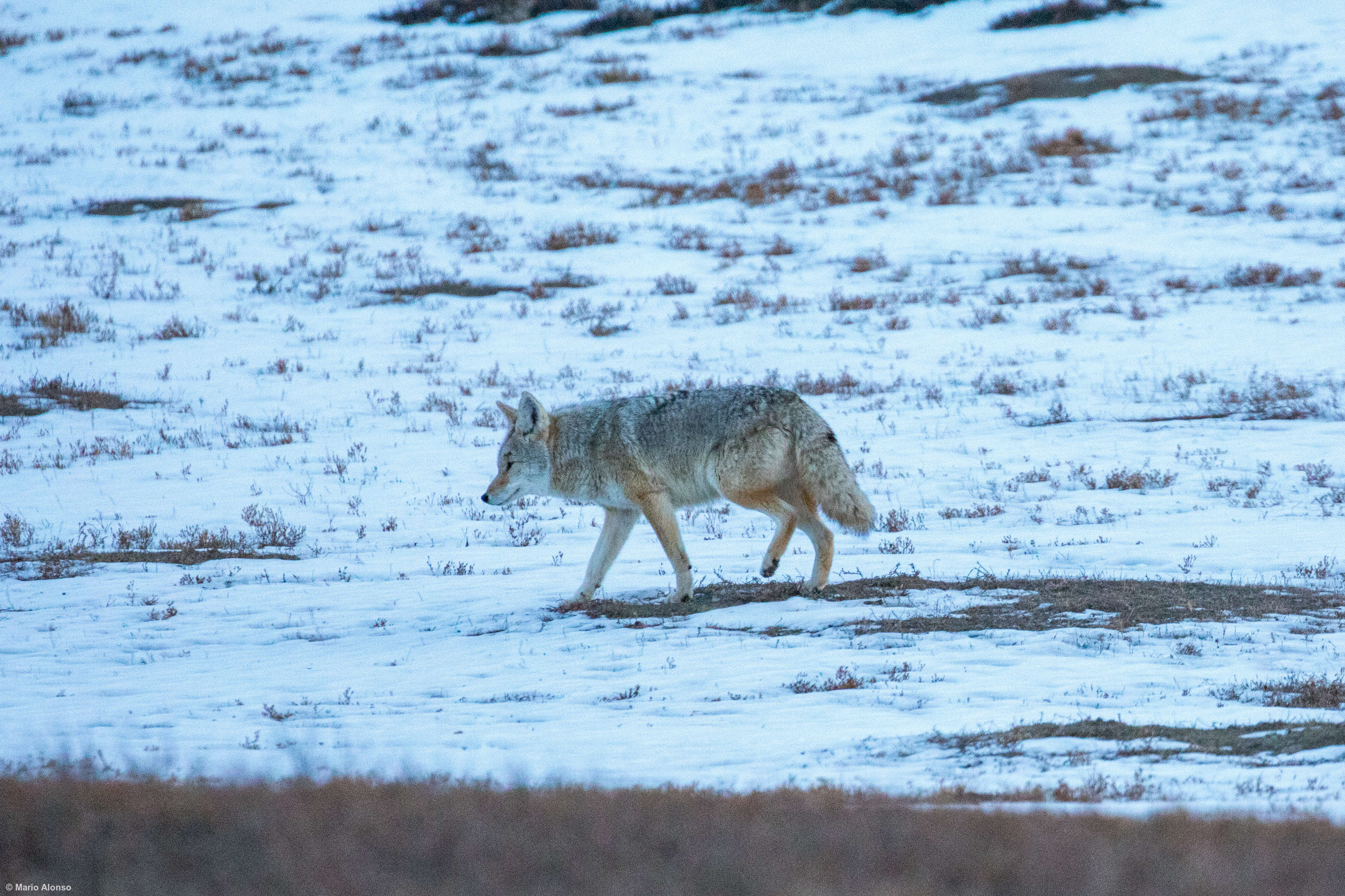 3E9E4946-9C74-4B01-B4AA-8221D5D77FF8