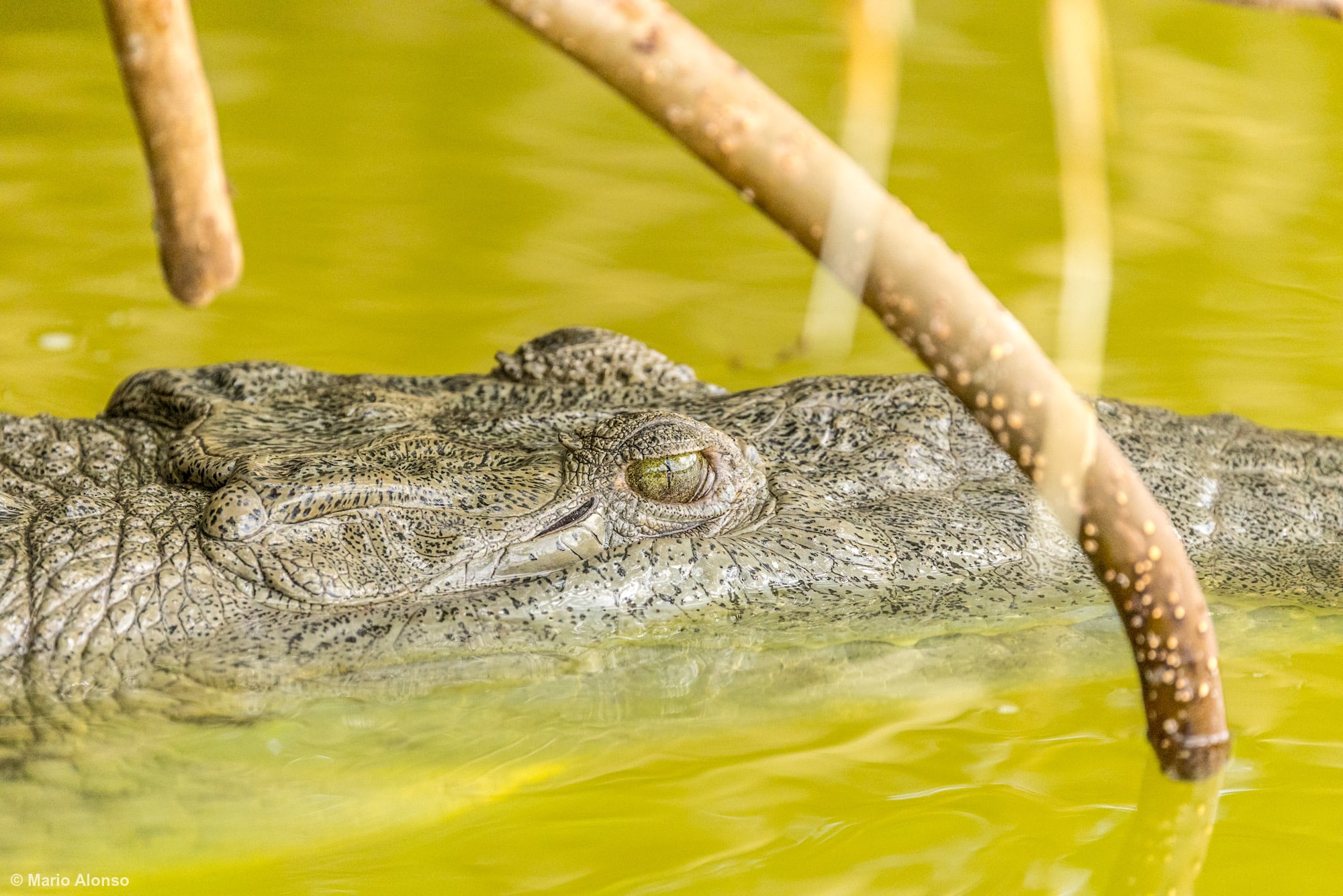 24DE547A-03D9-4465-8C0E-15D40D985426