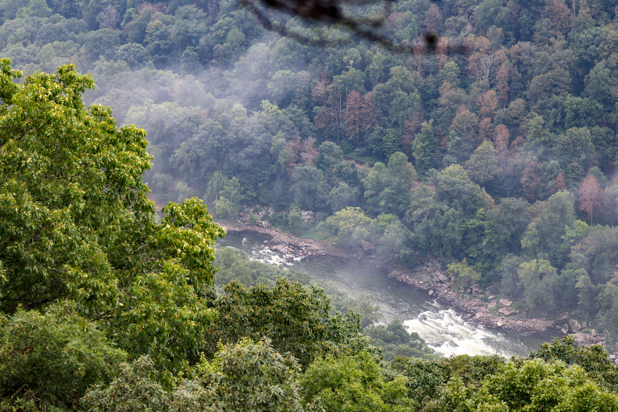 New River Gorge Vista