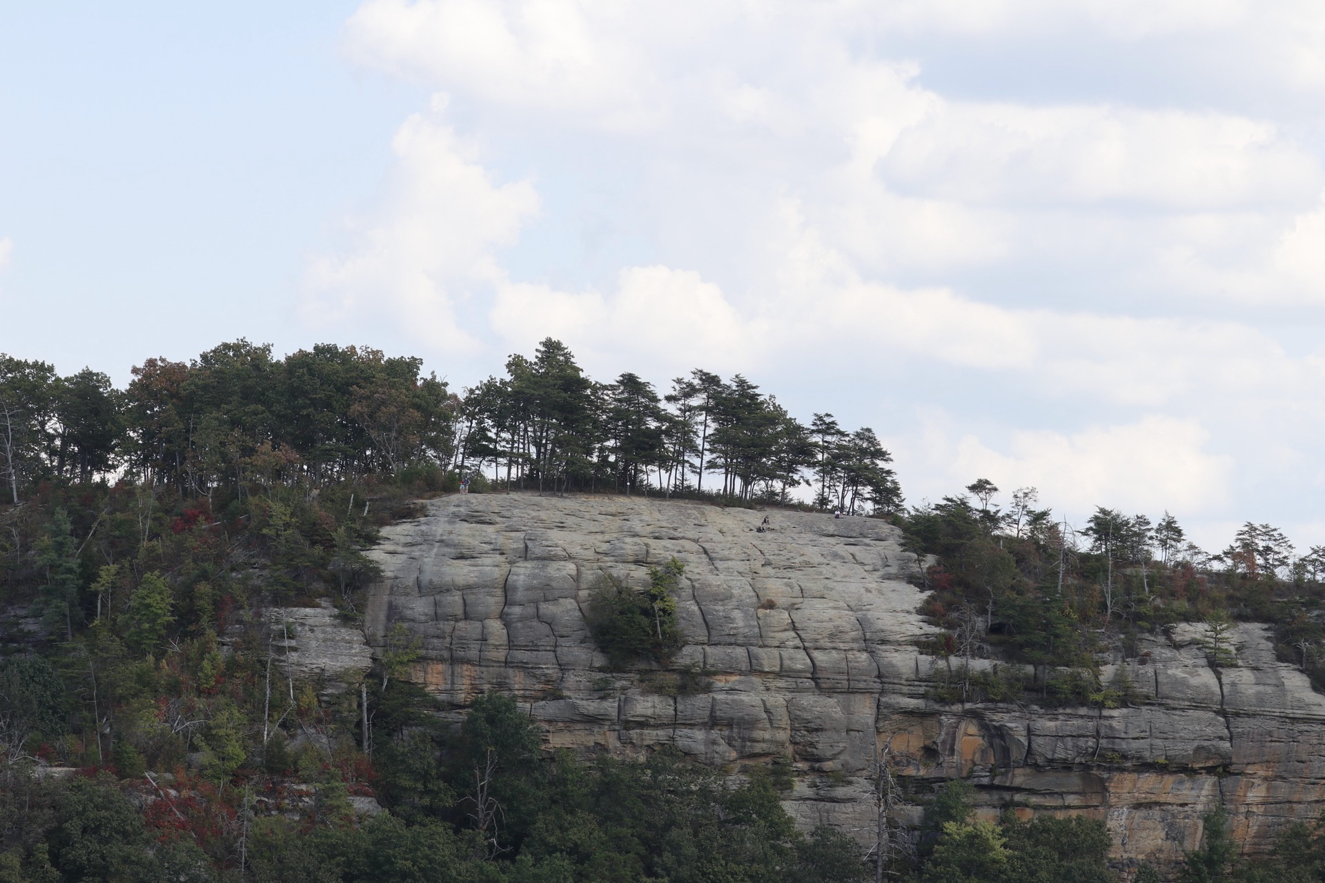 Daniel Boone Cliffs