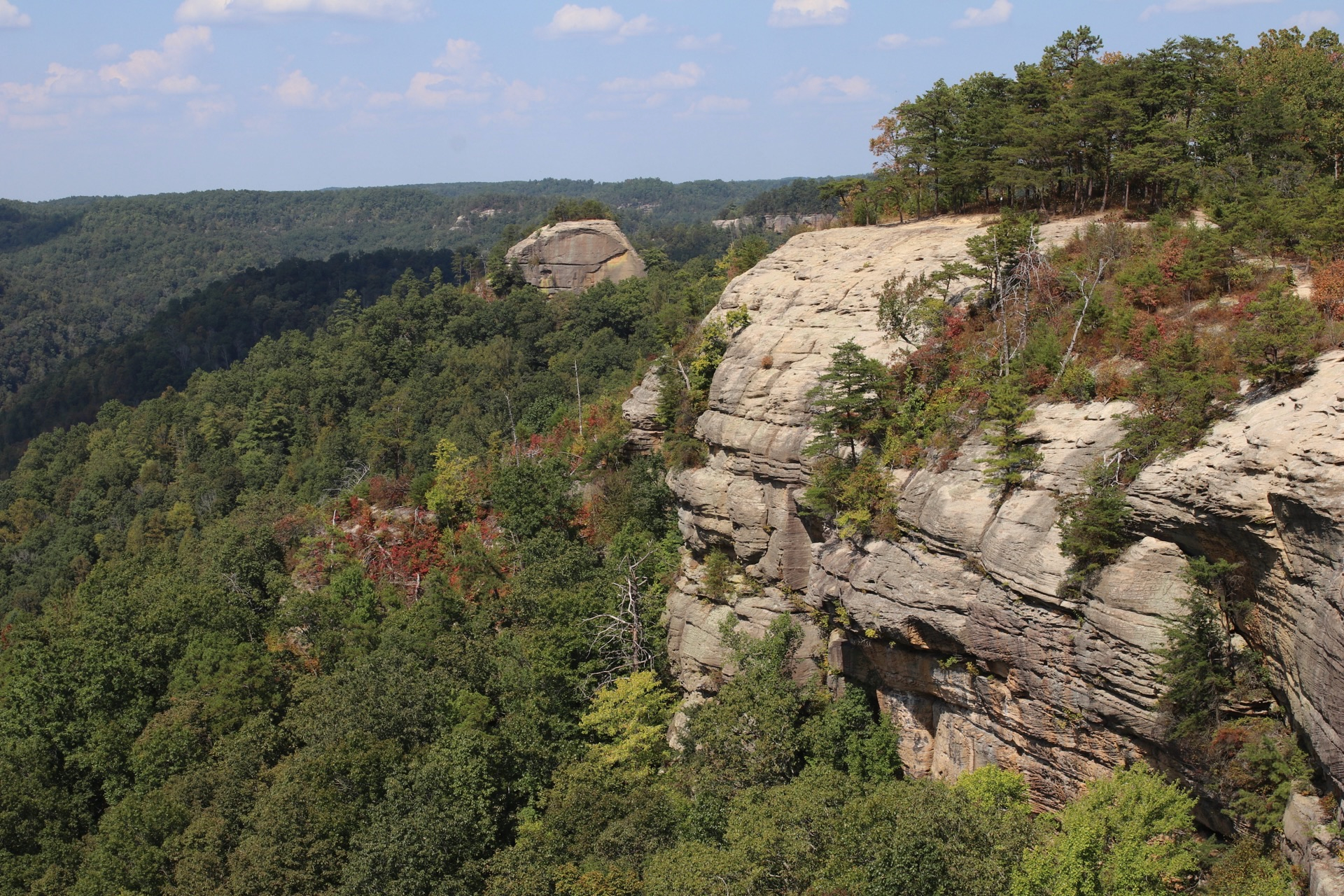 Red River Gorge Cliffs