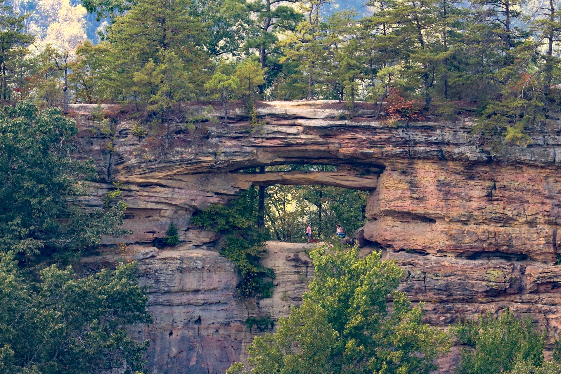 Sky Bridge Across the Gorge