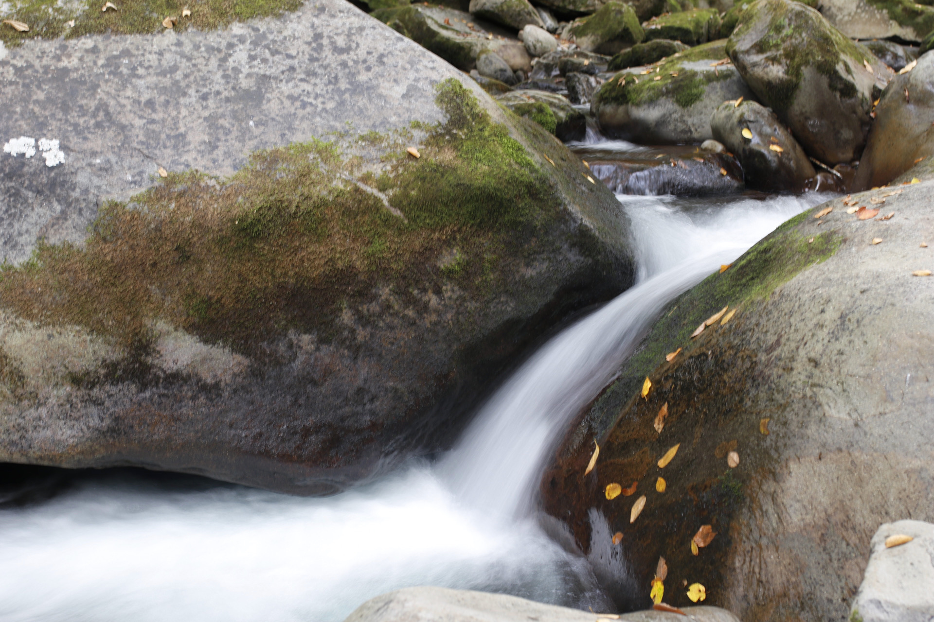 Smoky Mountains Fall Colors
