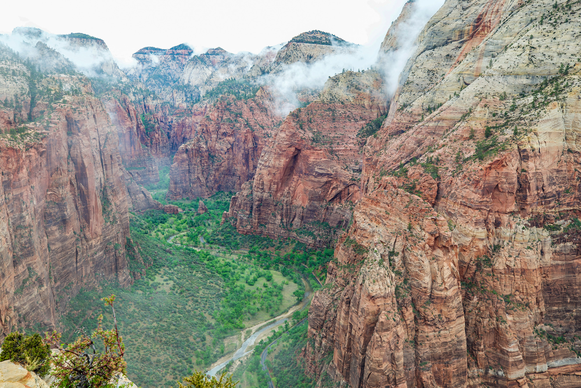 Angel's Landing Vista