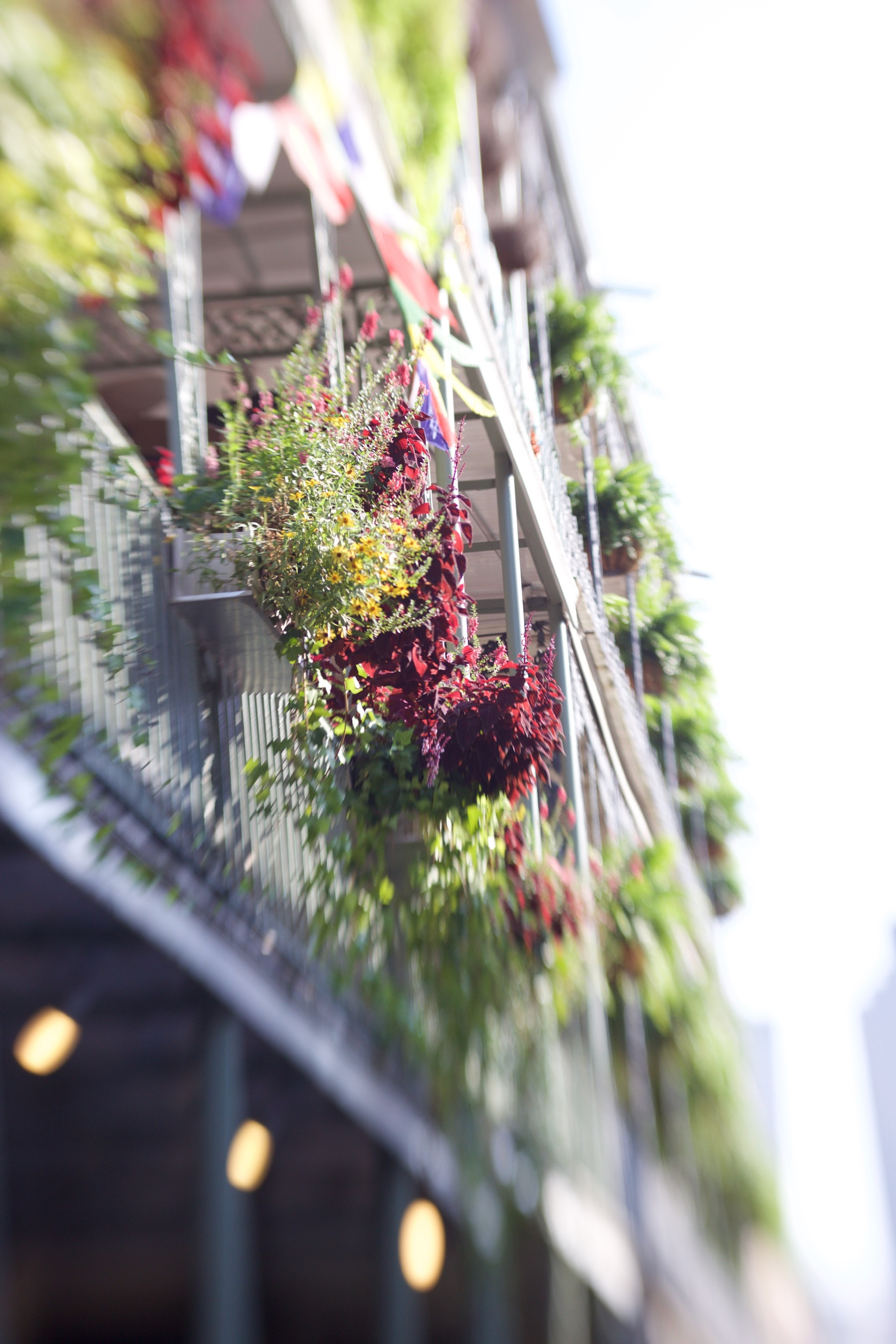 French Quarter Streets