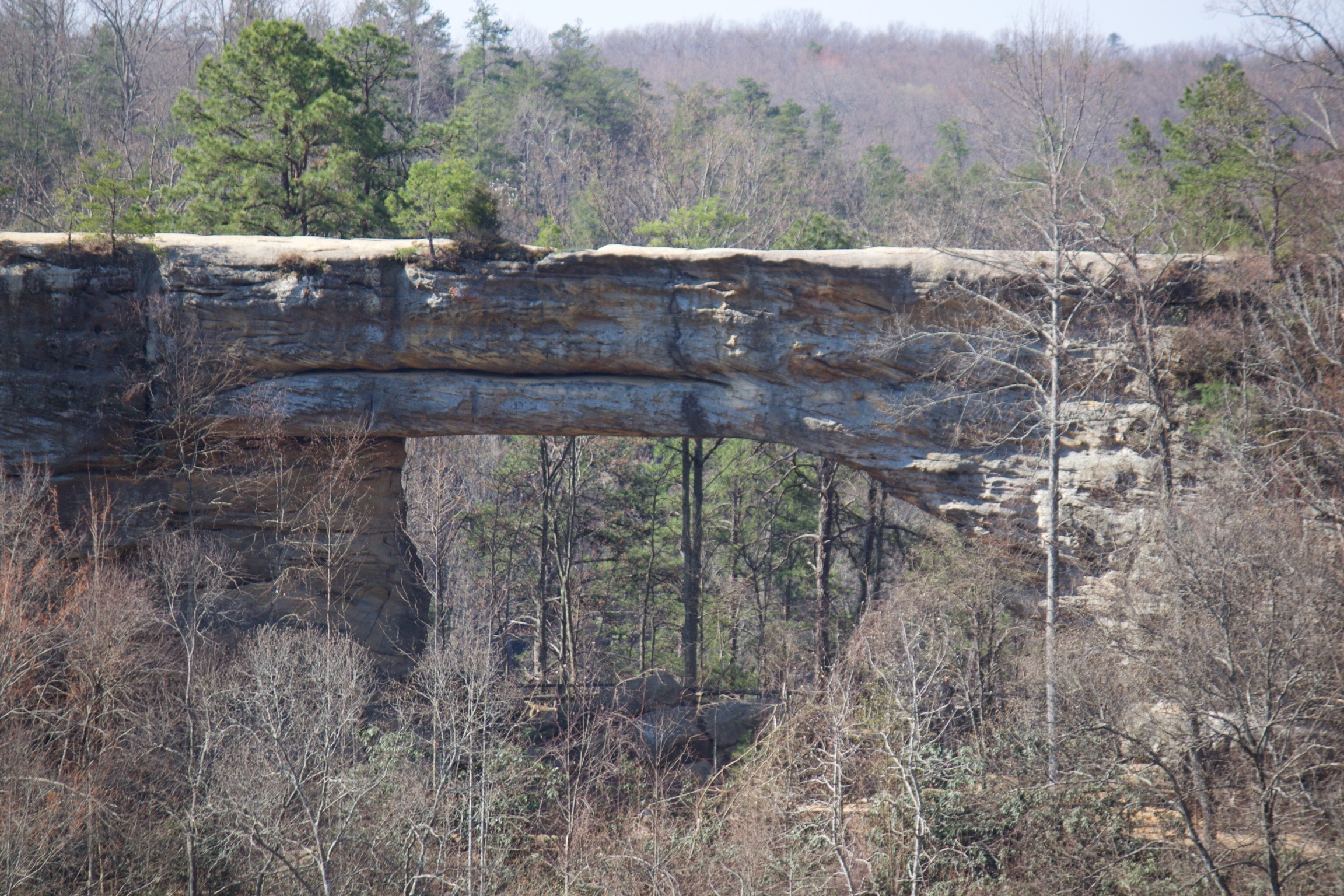 Kentucky Natural Bridge