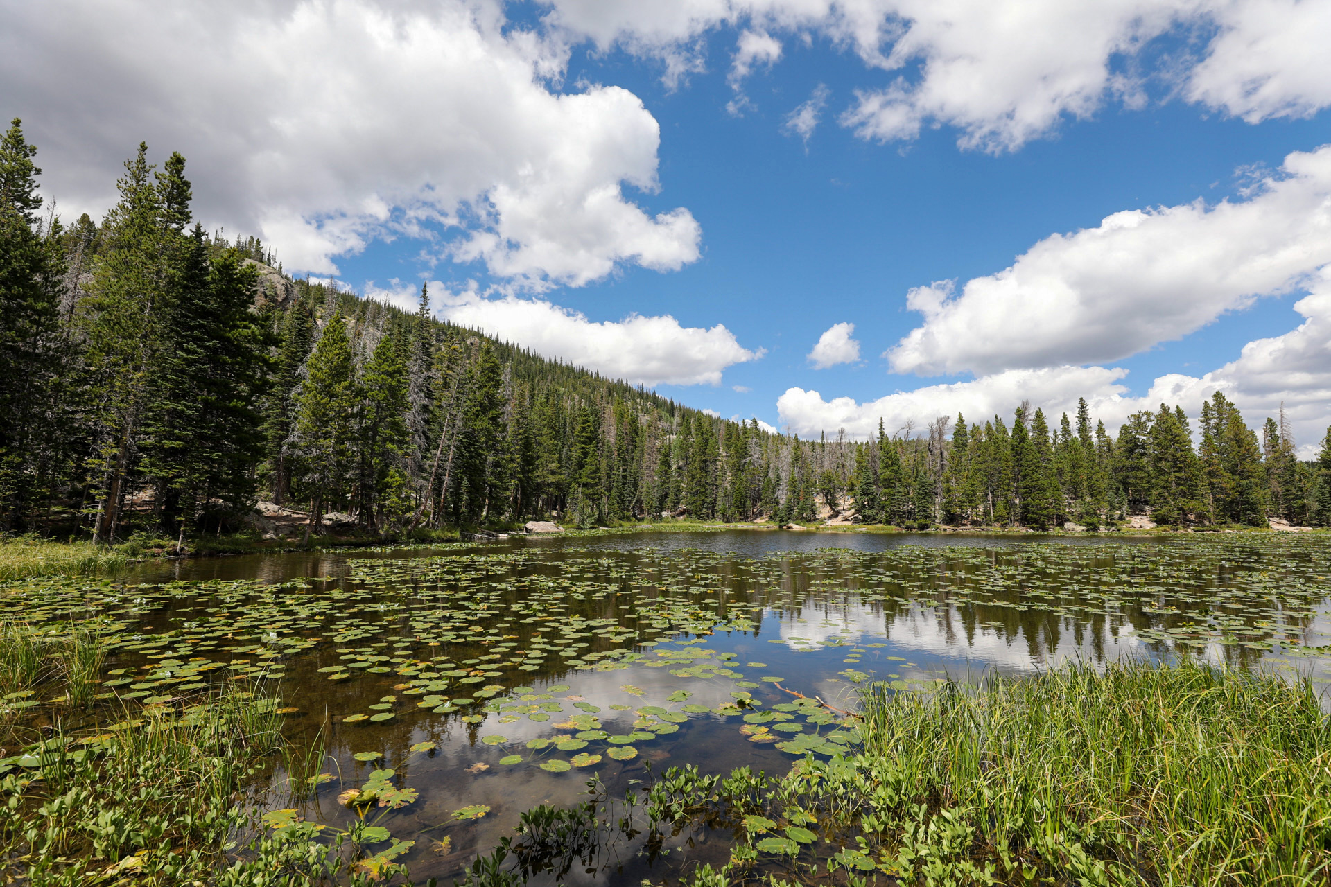 Dream Lake Summer Serenity