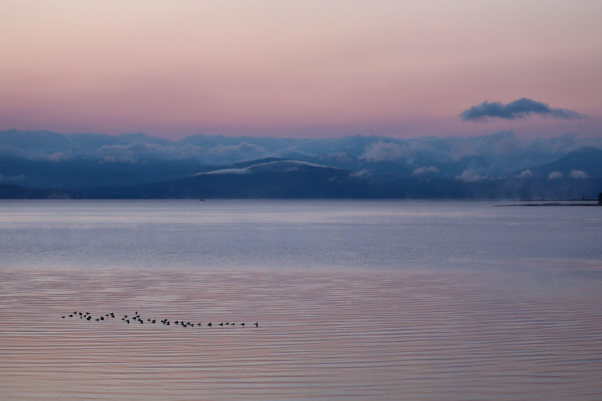 Yellowstone Lake at Dawn