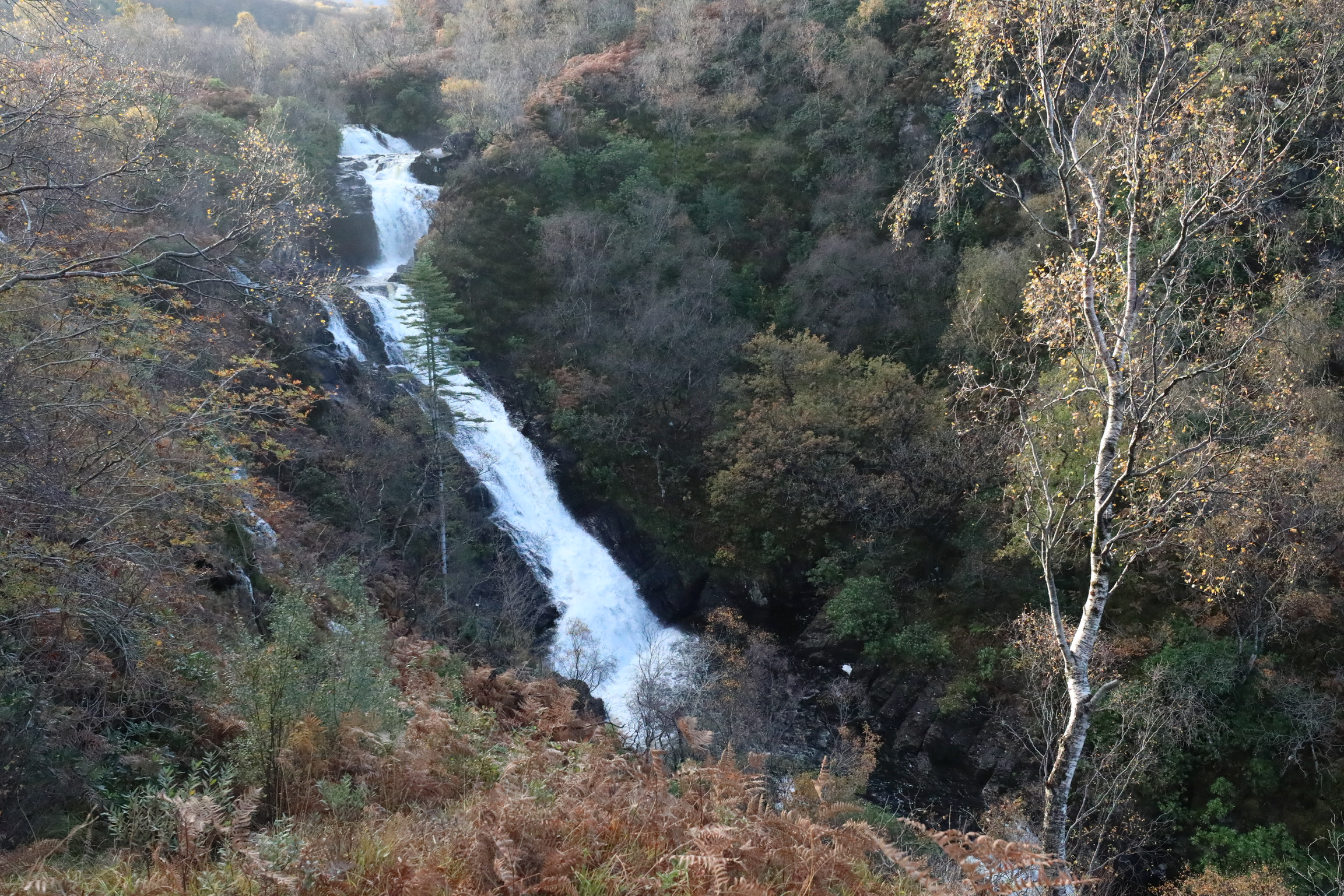 Inchtree Falls