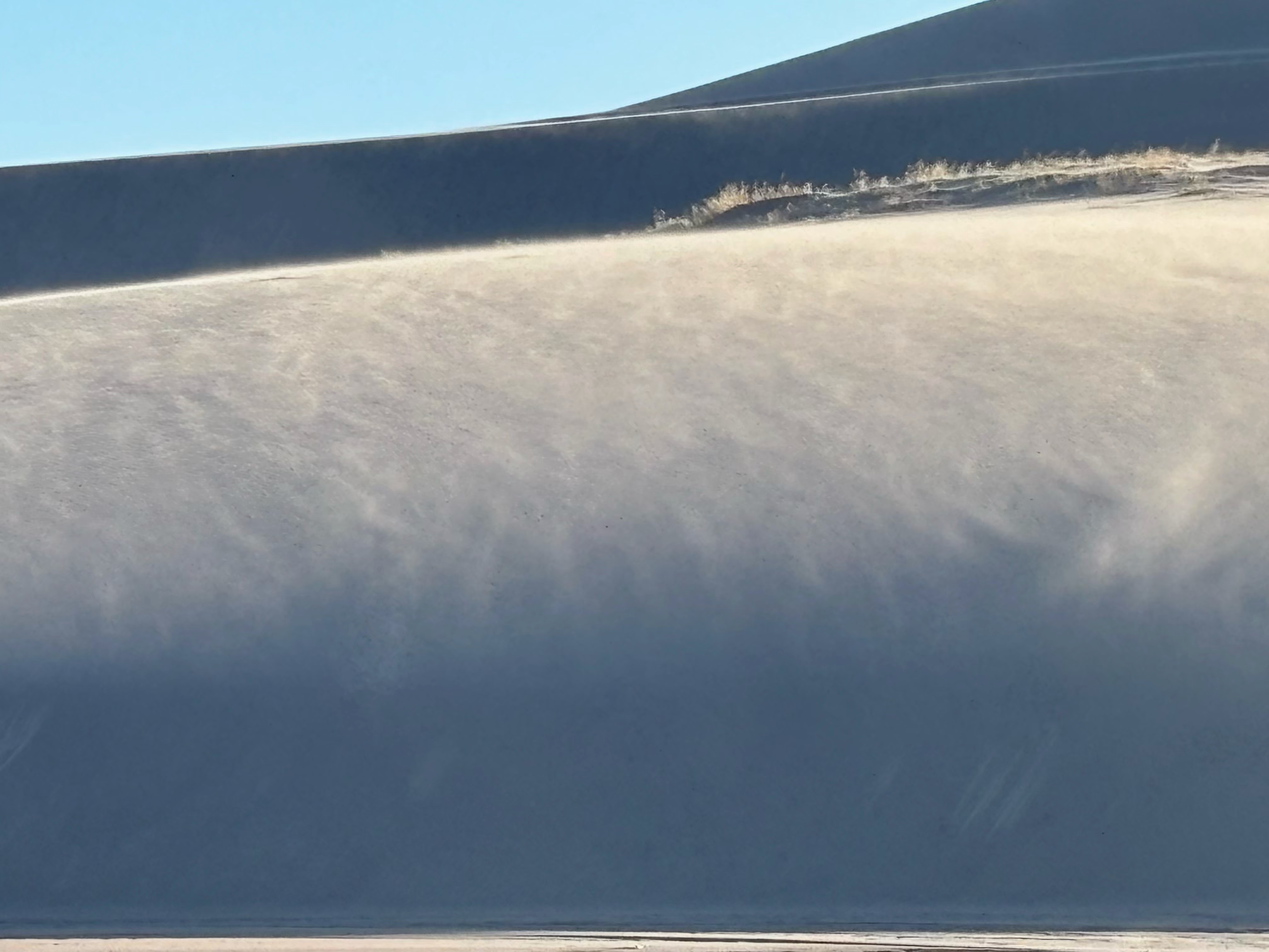 Wind and Sand Interplay