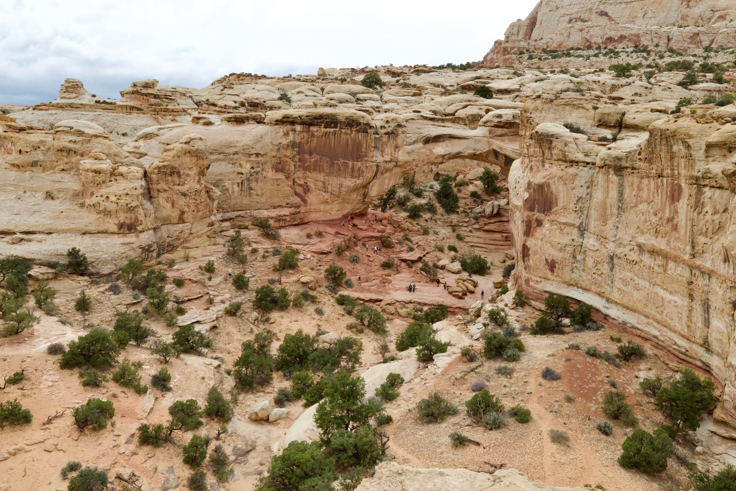 Capitol Reef Natural Amphitheater