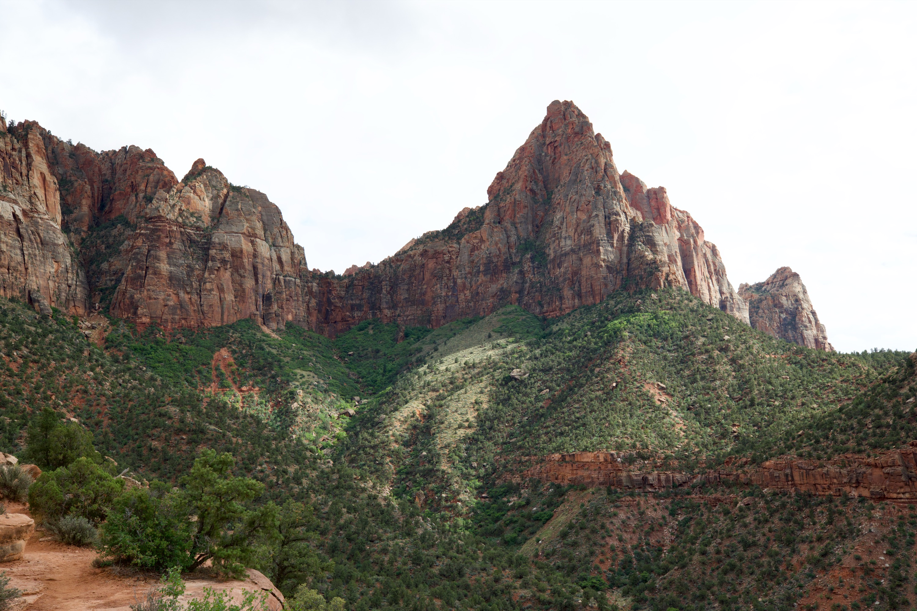 Zion Canyon Vista