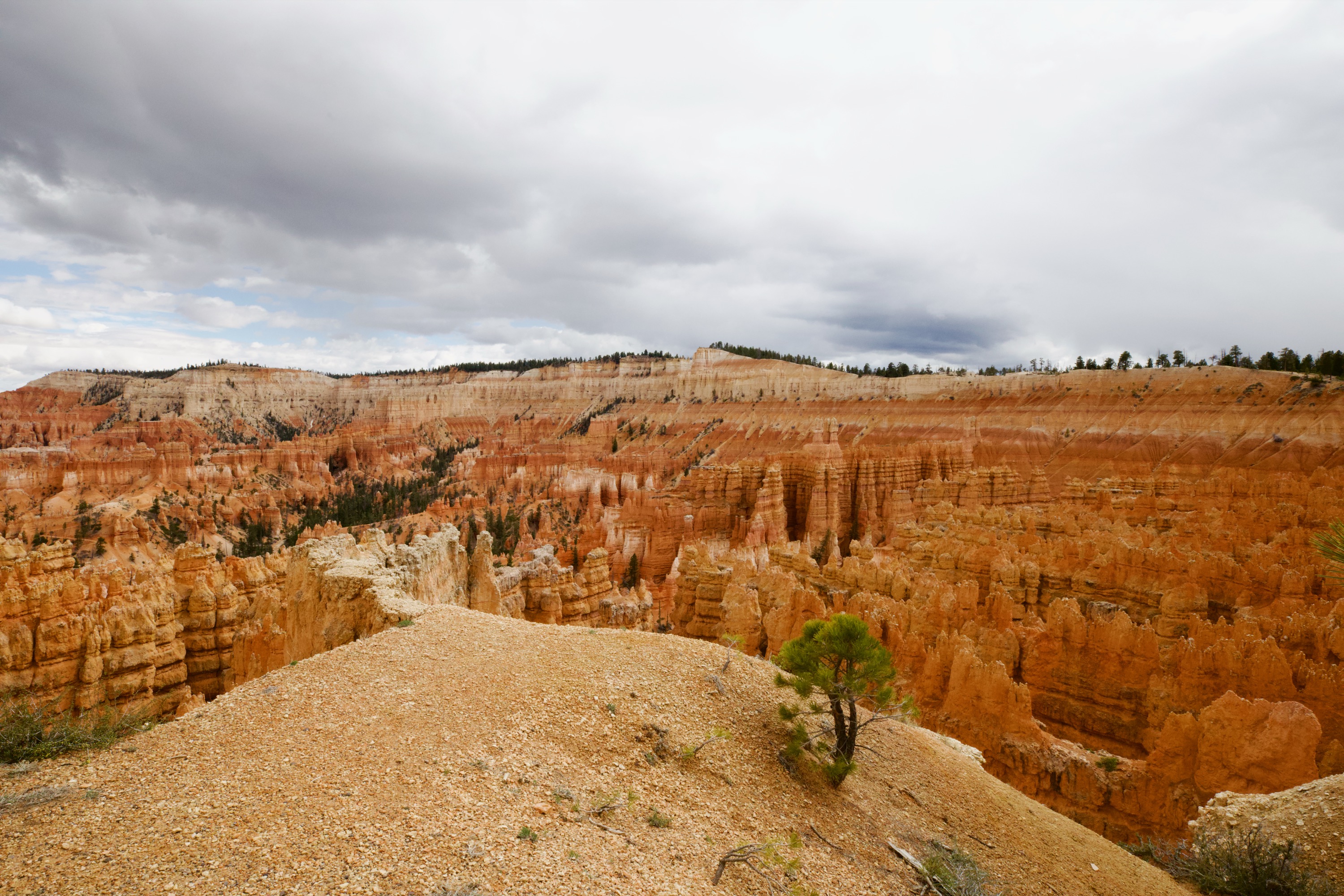 Bryce Canyon Hoodoos