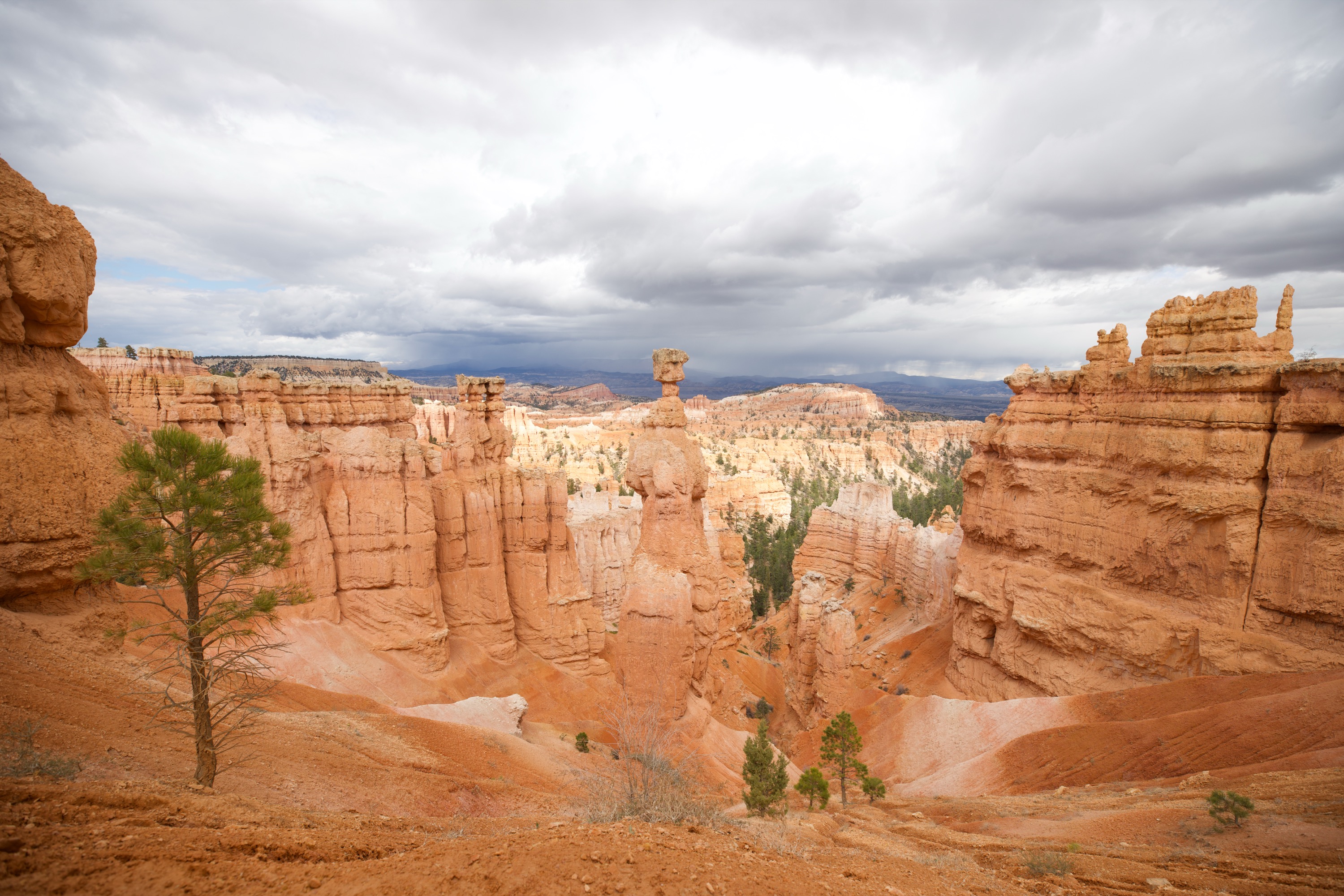 Bryce Canyon Panorama
