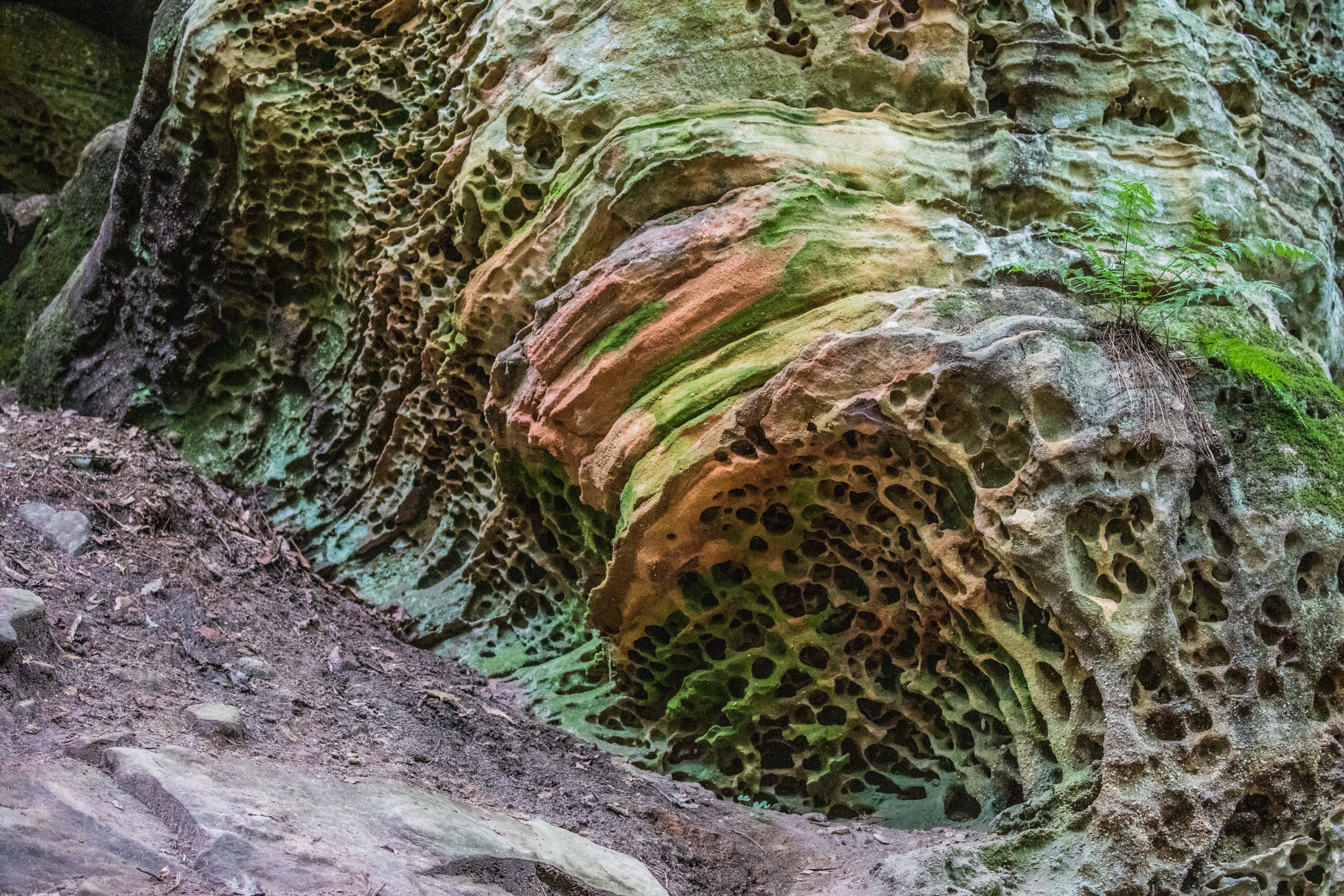 Hocking Hills Rock Textures