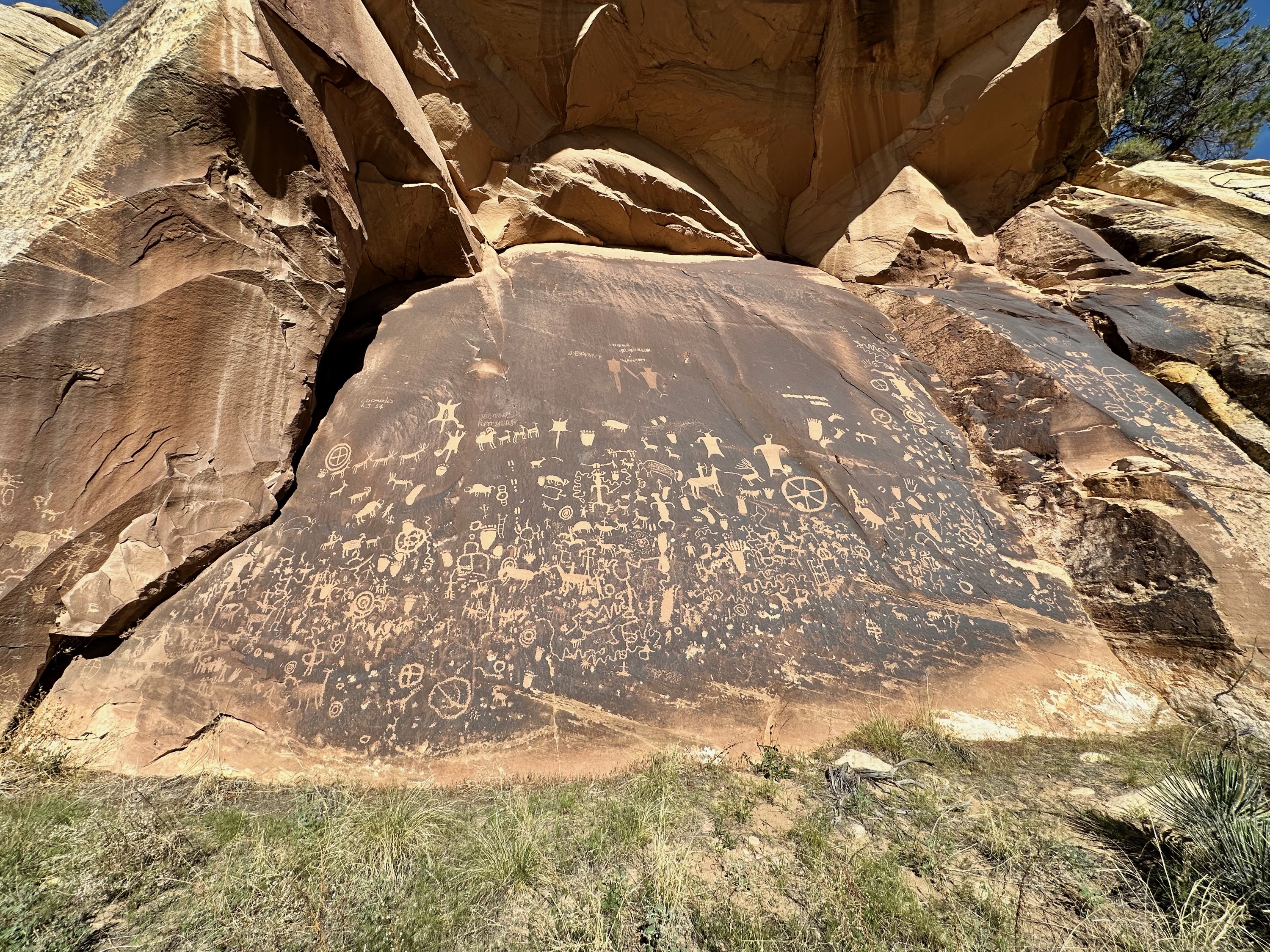 Newspaper Rock Petroglyphs