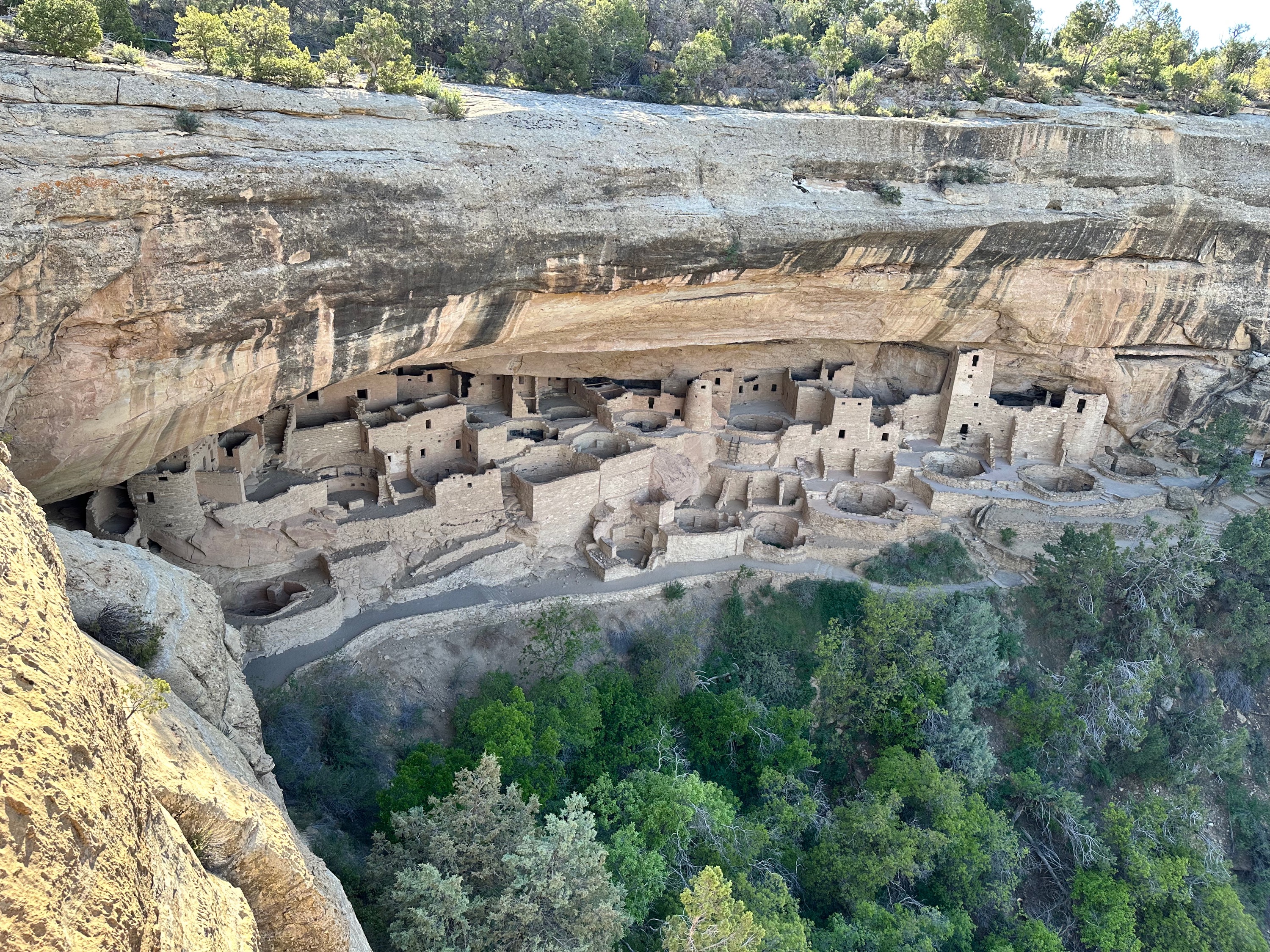 Cliff Palace Ancient Dwelling