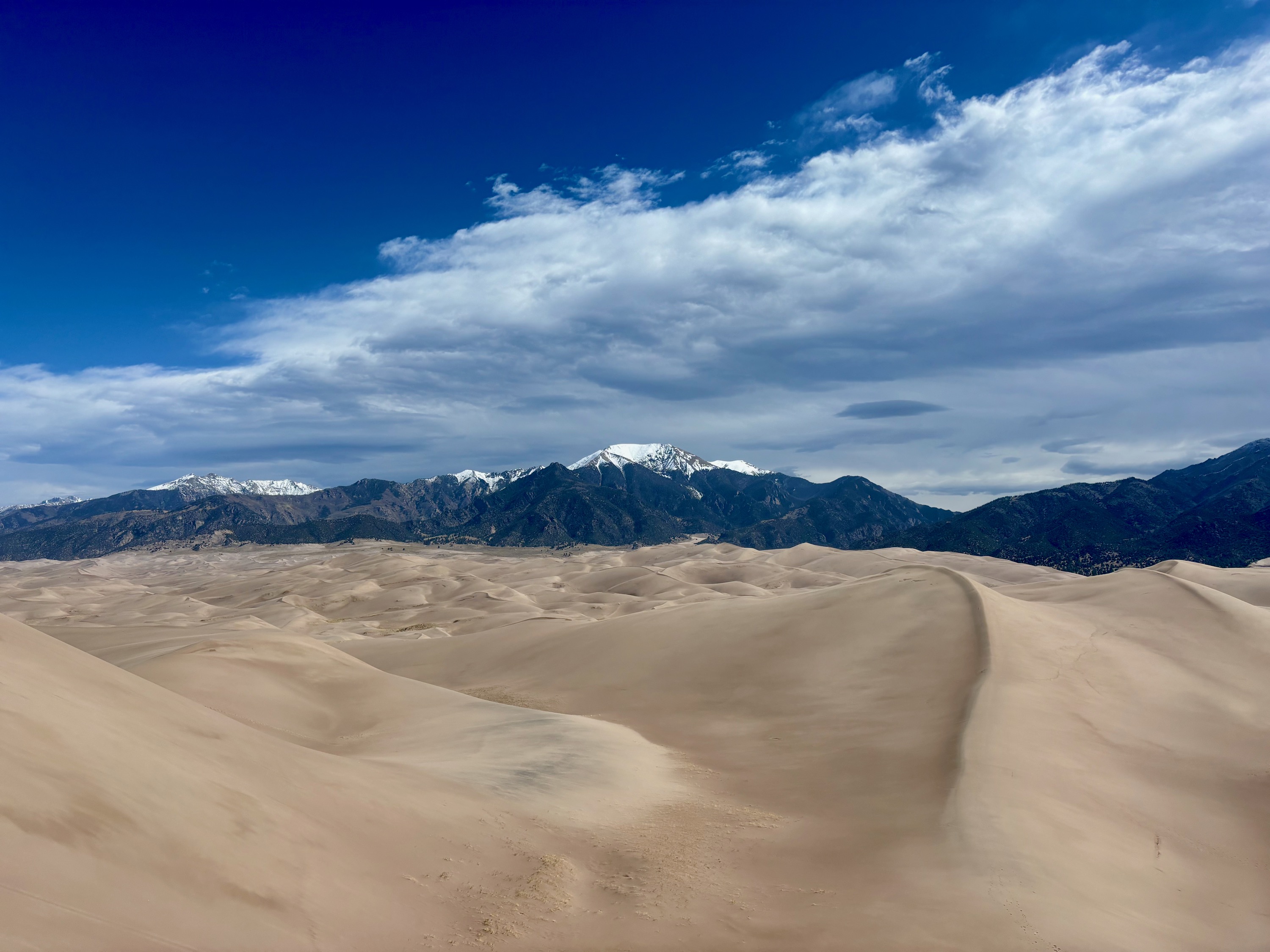 Summit of the Tallest Dune