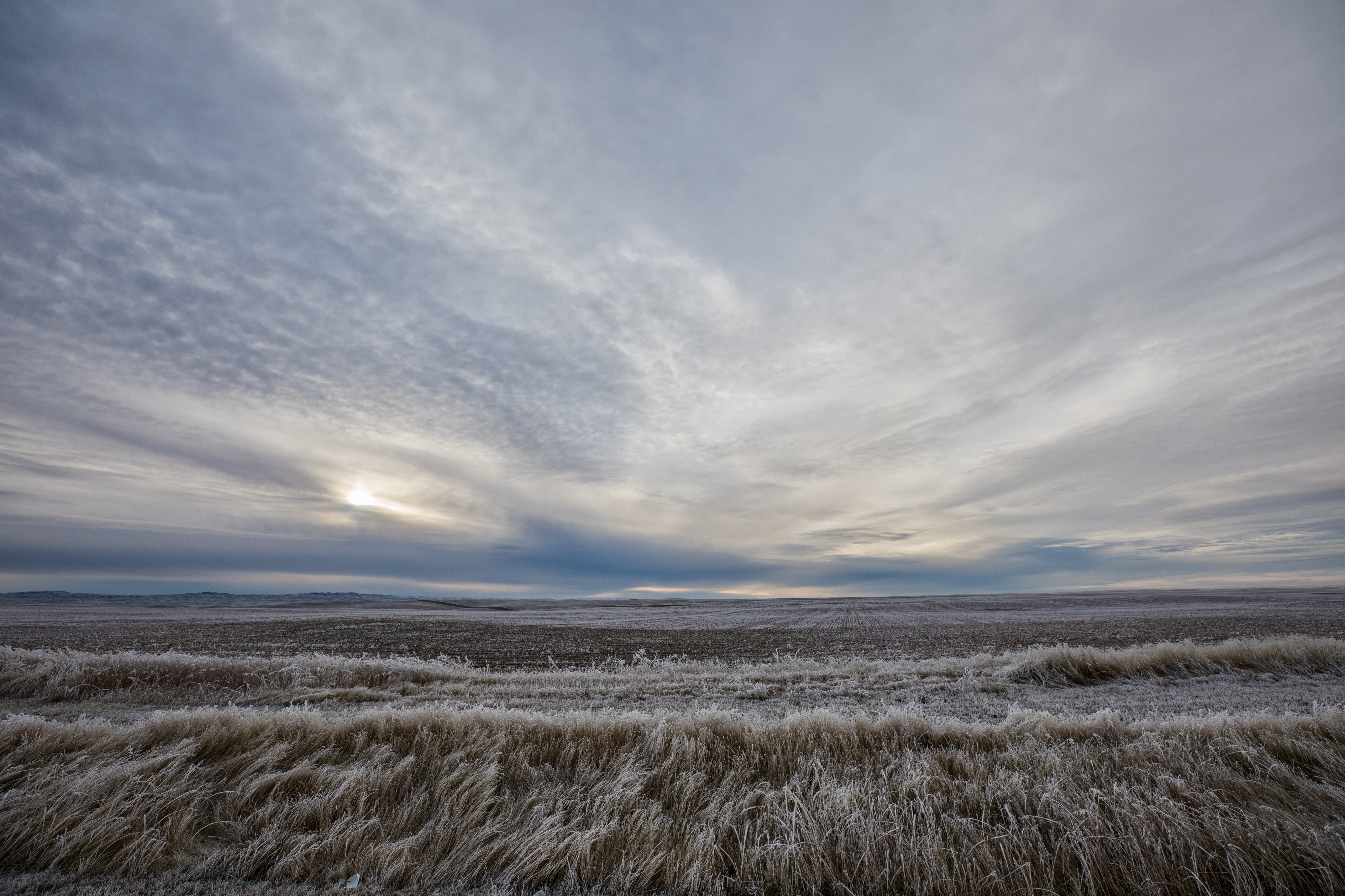 02C88267-5E3E-4B21-BB3F-46BBEDB5116F