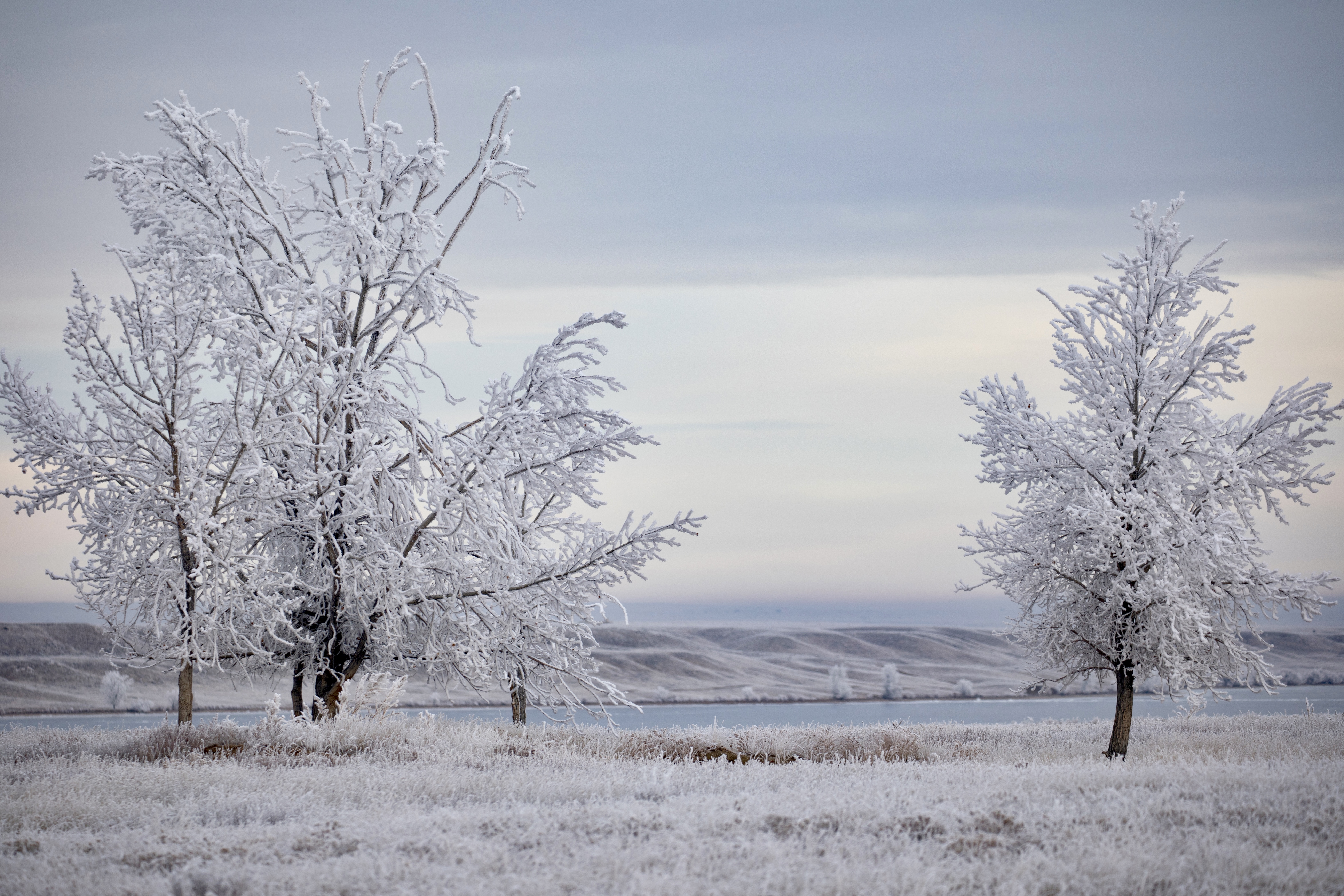 6E1F2EBF-F48B-4E2C-ABA7-E1D0EAA9E30C