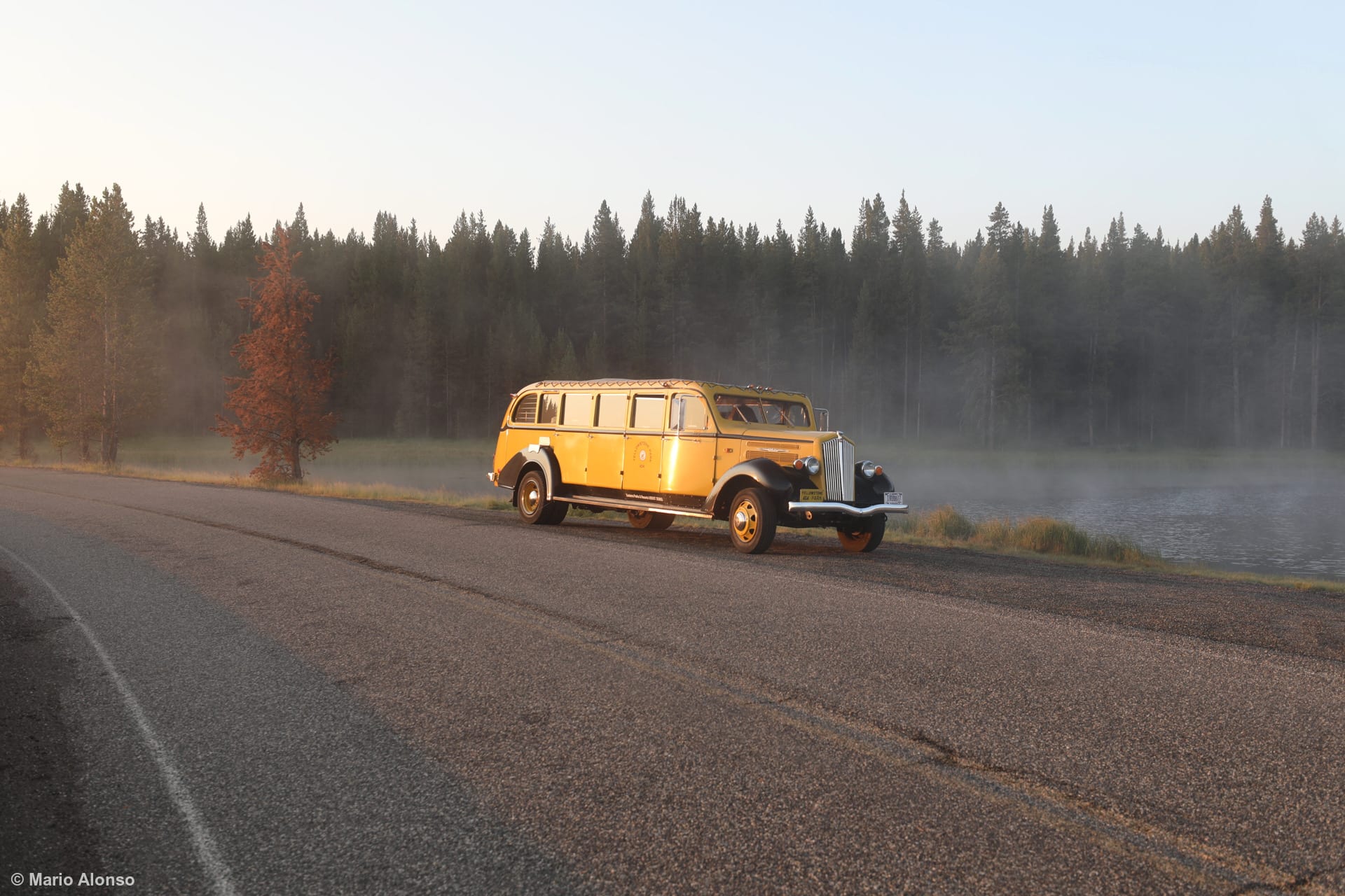 Vintage NPS Tour Bus in the Mist