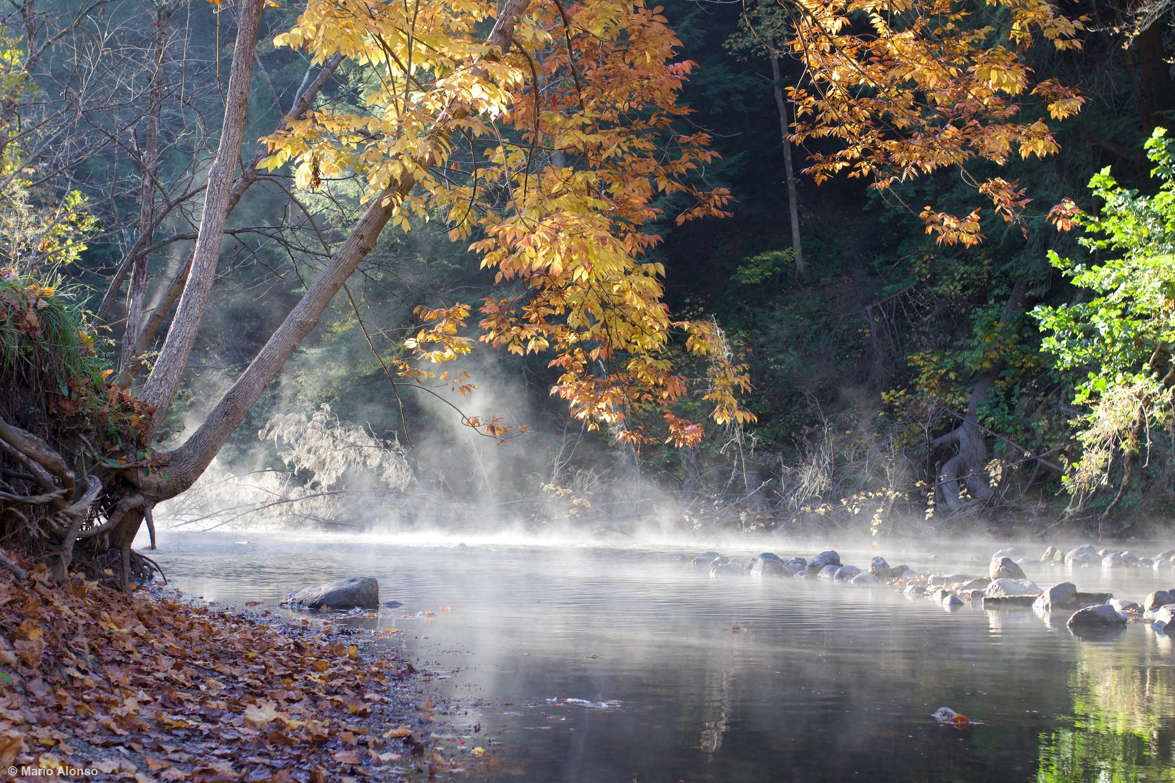 Misty Morning on the Mohican