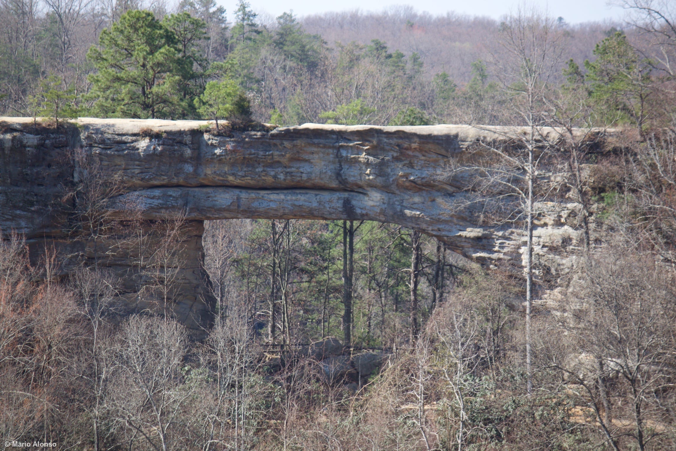 Kentucky Natural Bridge