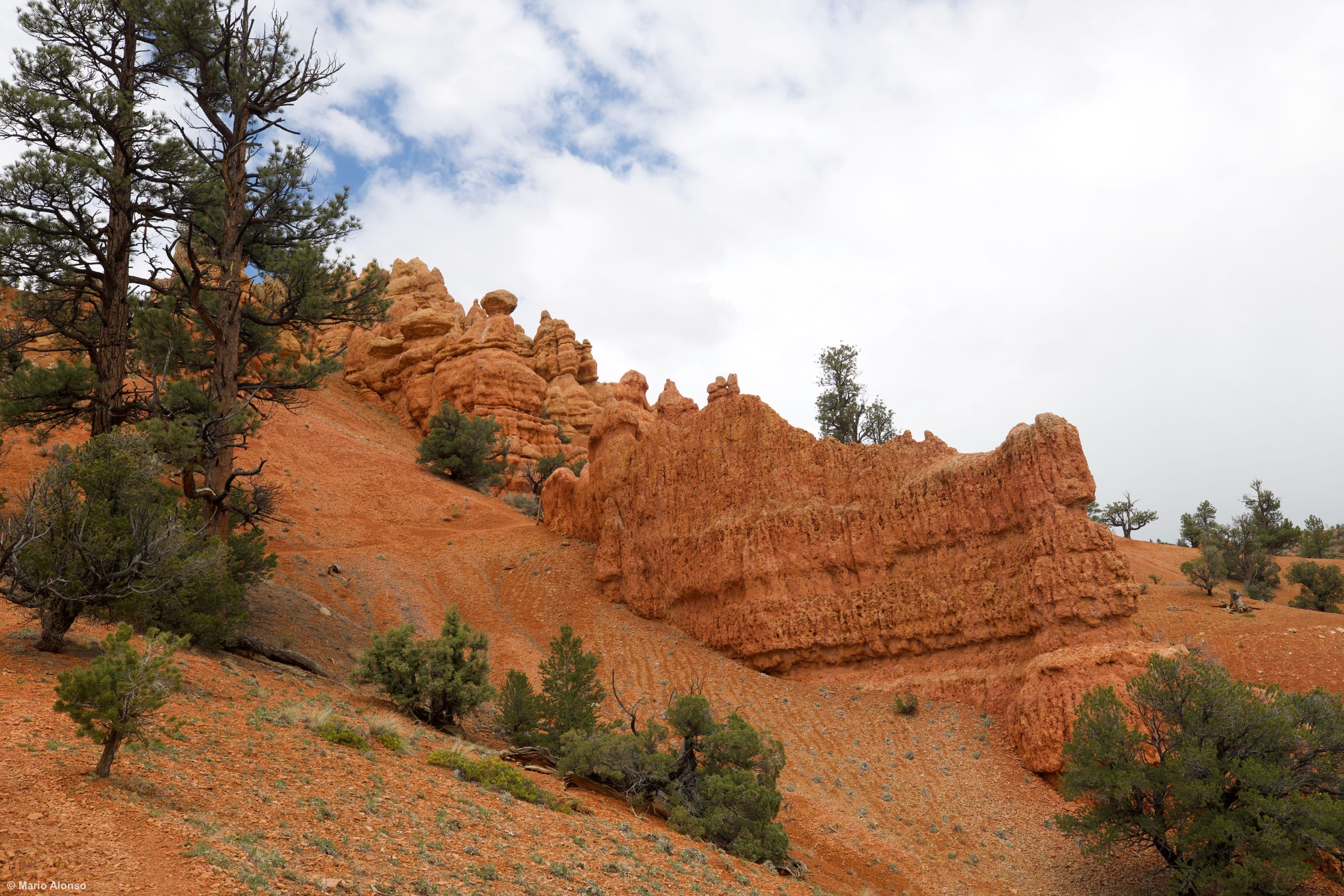 Red Canyon Formations