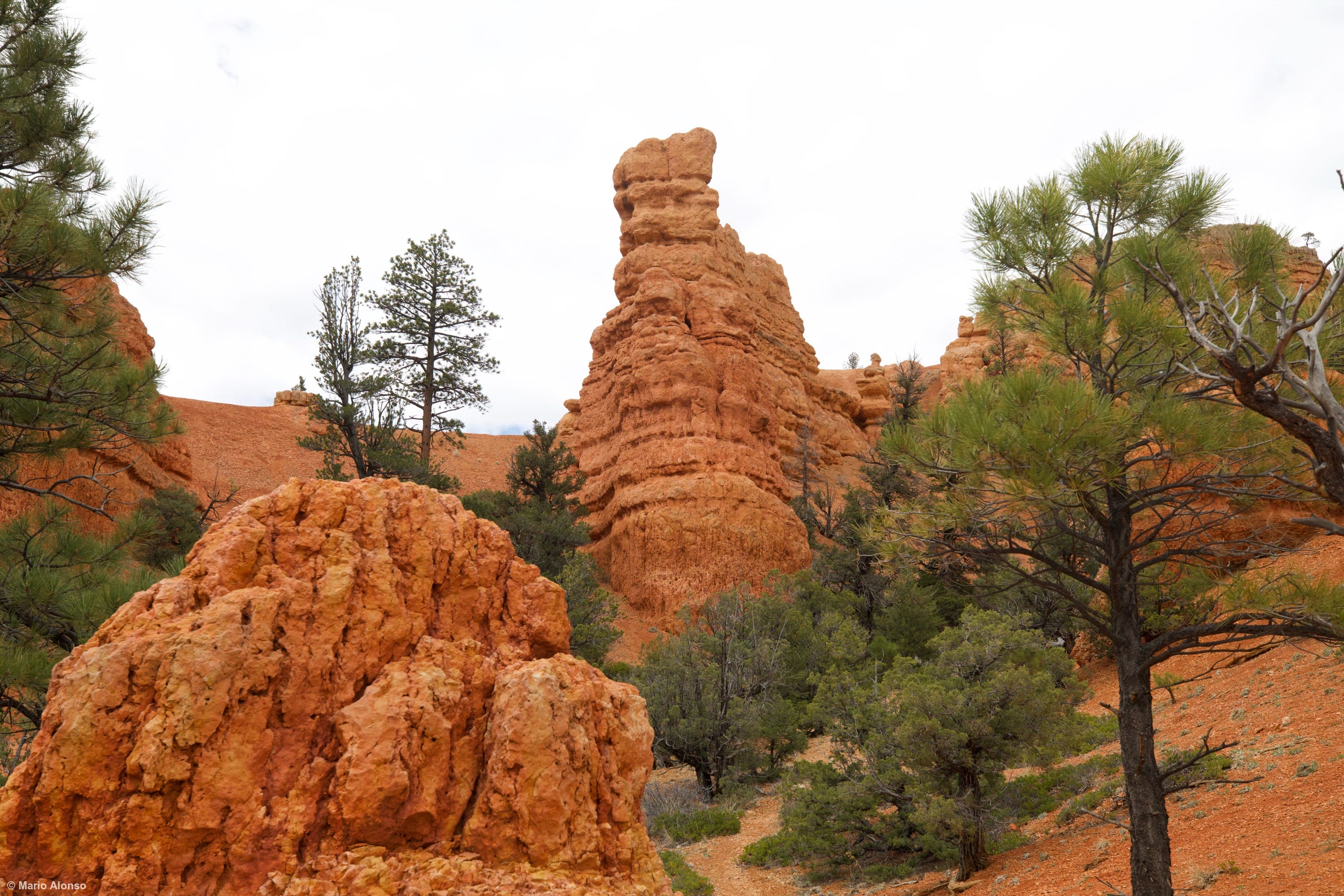 Red Canyon 2