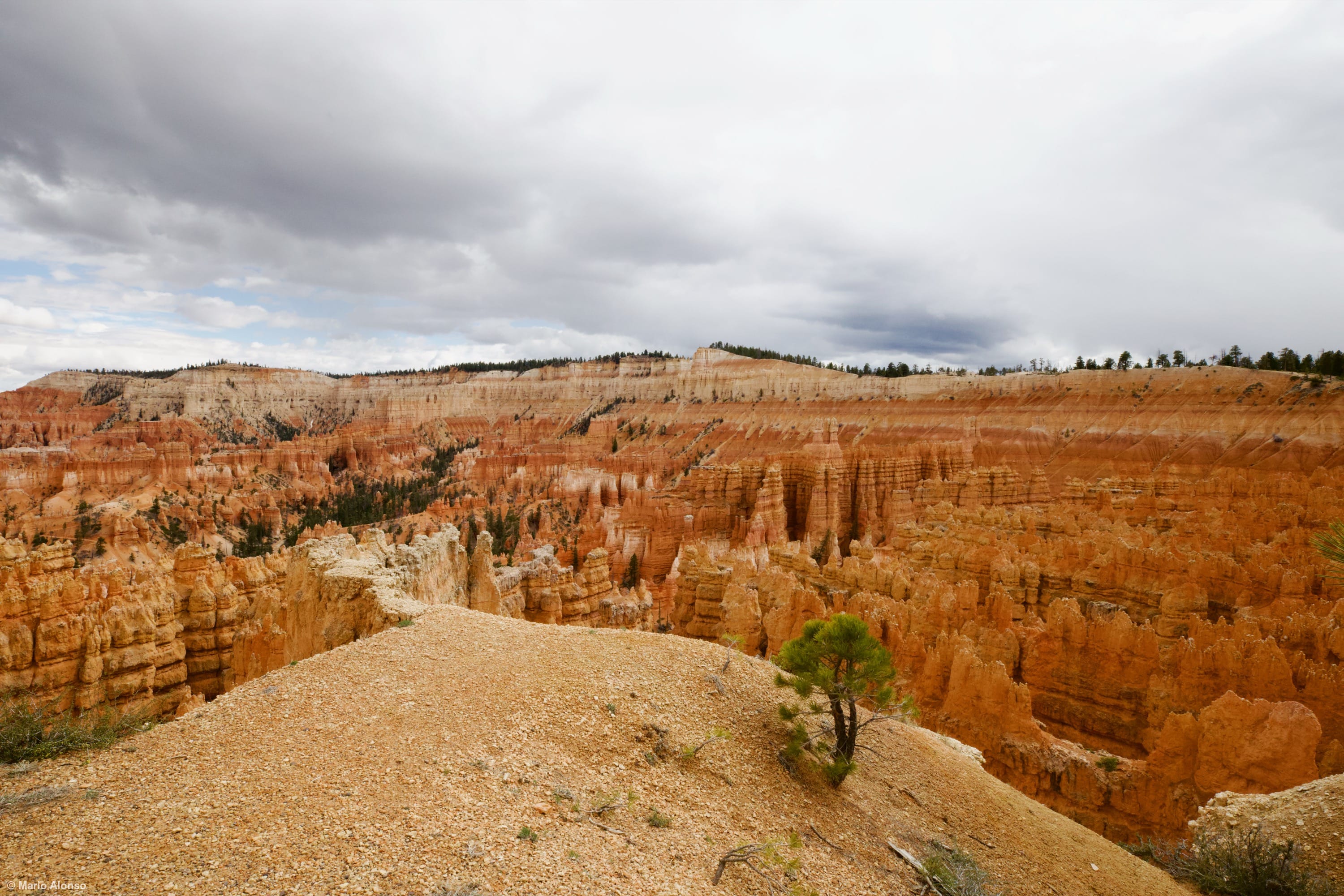 Bryce Canyon Hoodoos