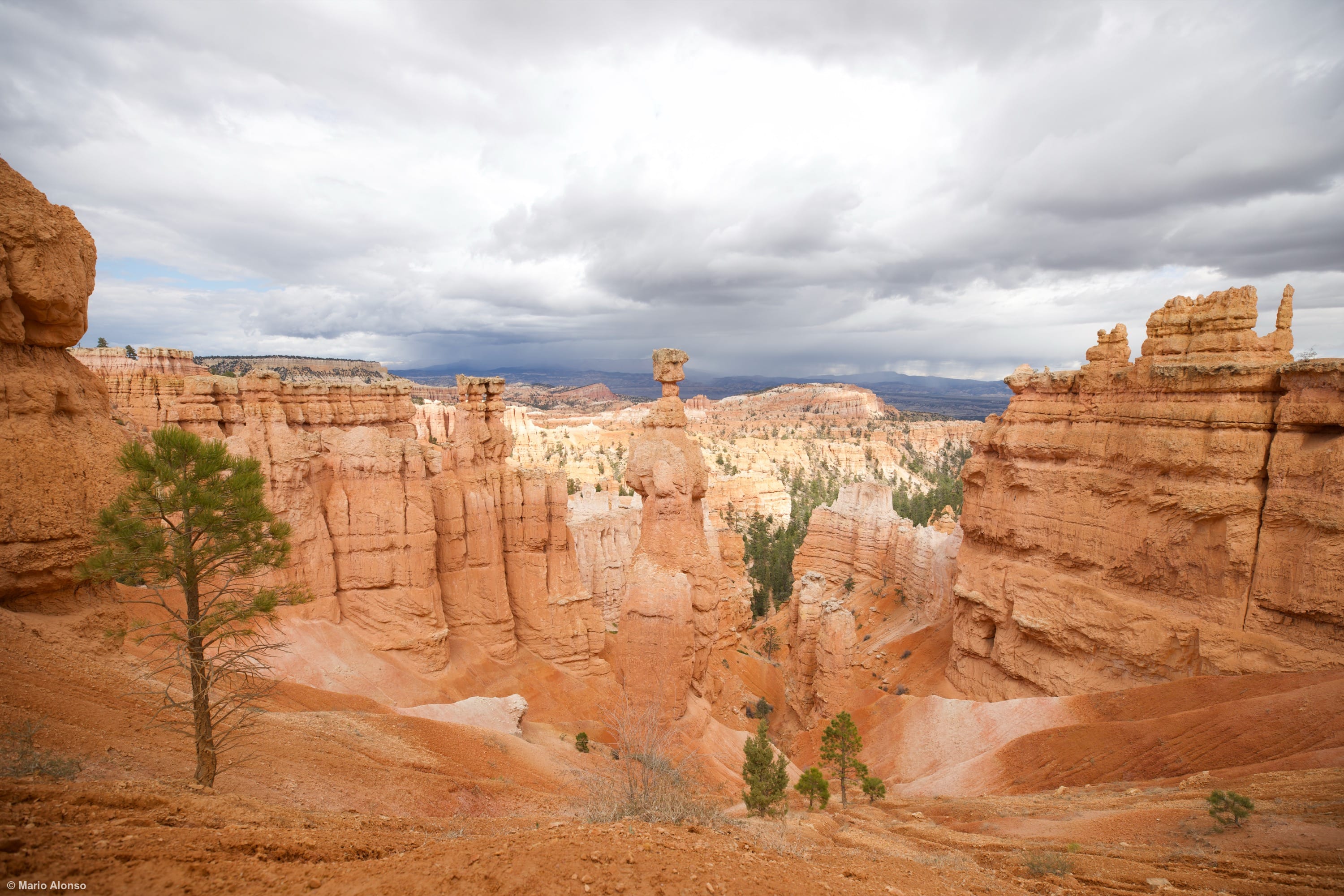 Bryce Canyon Panorama