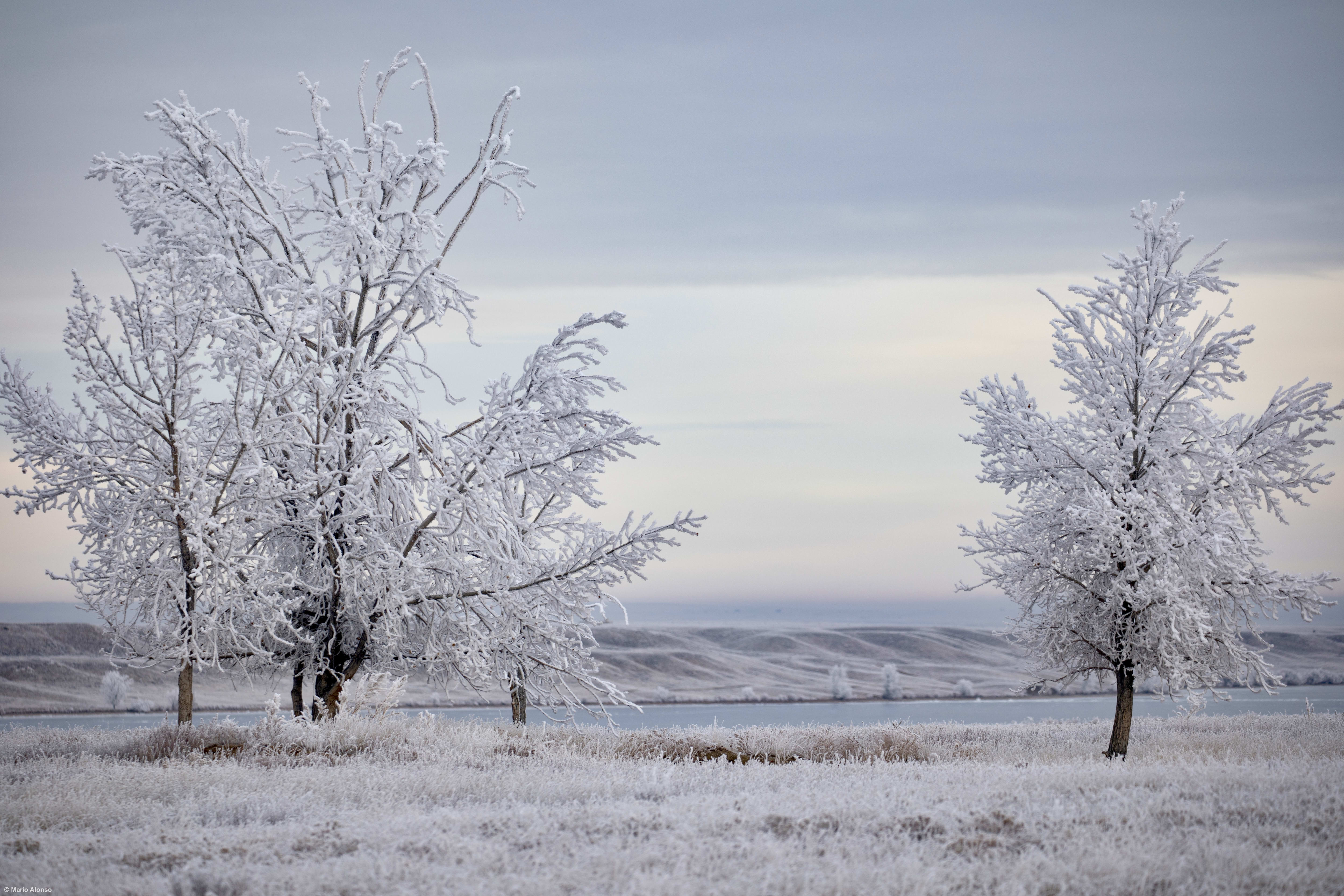 6E1F2EBF-F48B-4E2C-ABA7-E1D0EAA9E30C