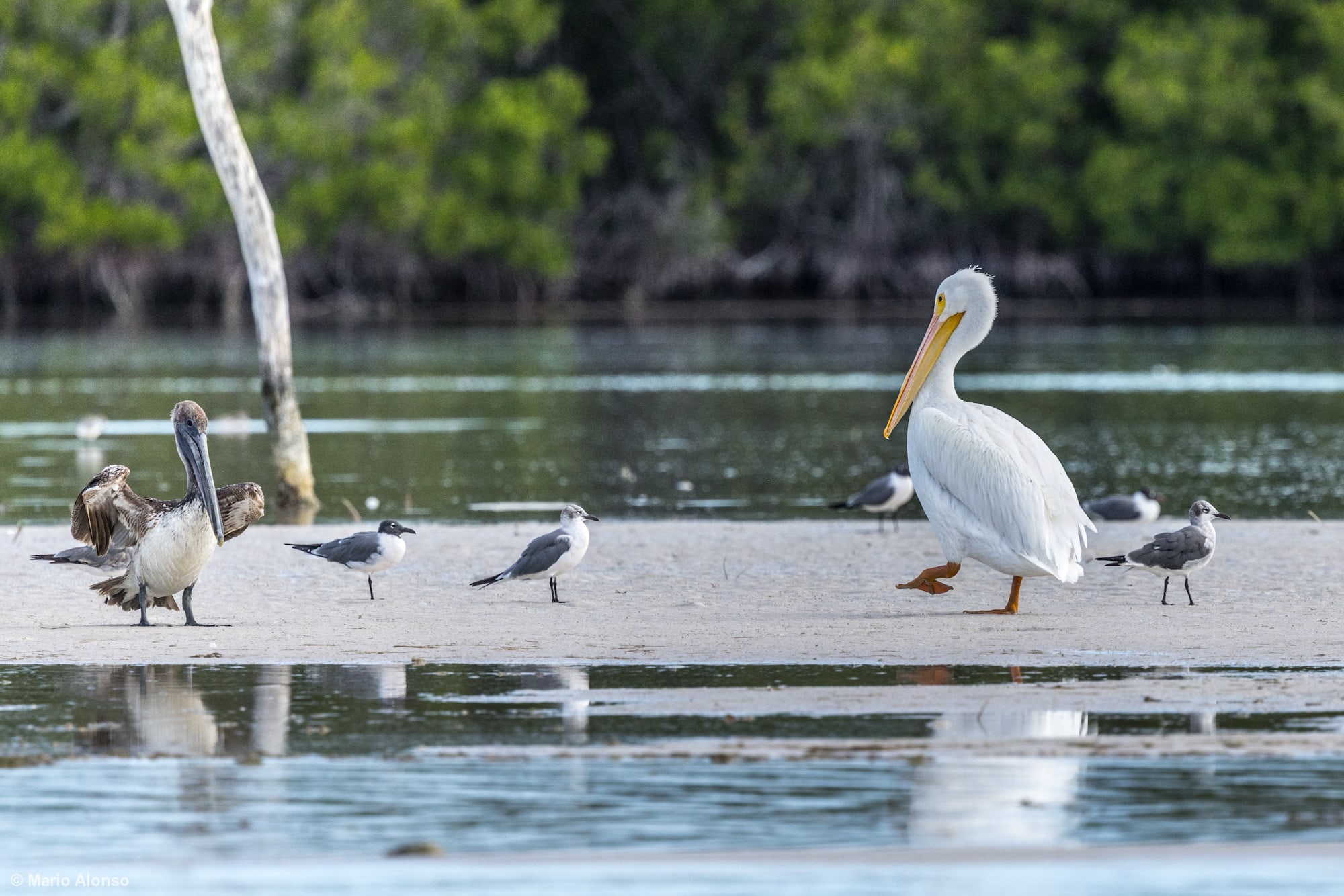 CD66F09F-4BAB-4291-9561-6F5CFB42D492