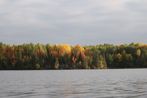Fall Reflections on the Lake