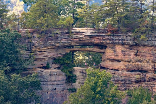 Sky Bridge Across the Gorge