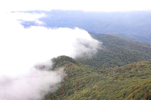 Smoky Mountain Mist