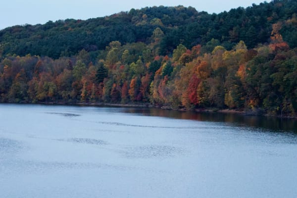 Autumn Splendor