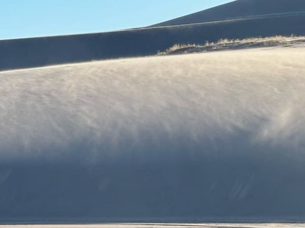 Wind and Sand Interplay