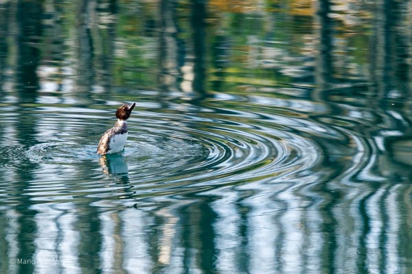 Surfacing