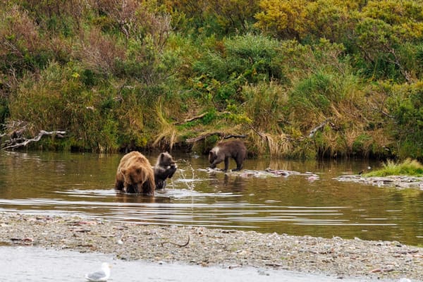Learning the River
