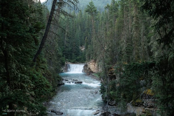 Downstream
