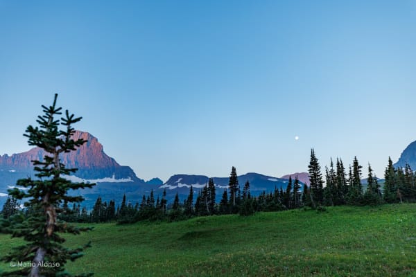 Moonset Over the Meadows
