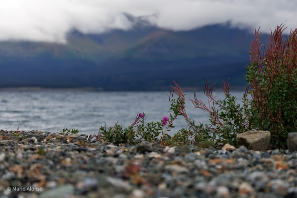 Low Clouds over Kluane Lake
