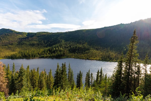 Lake from Above