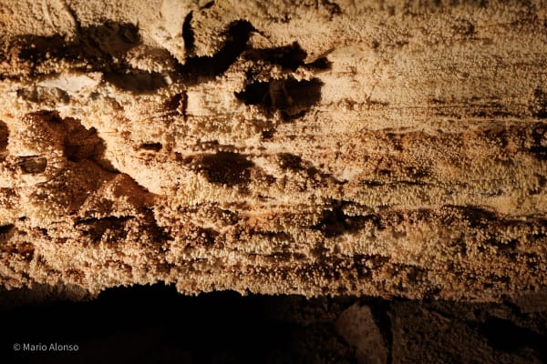 Cave Popcorn
