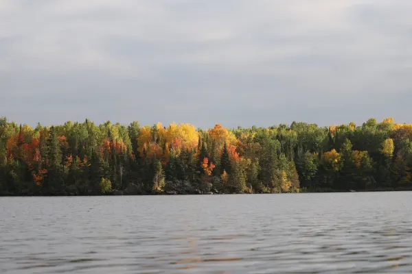 Fall Reflections on the Lake